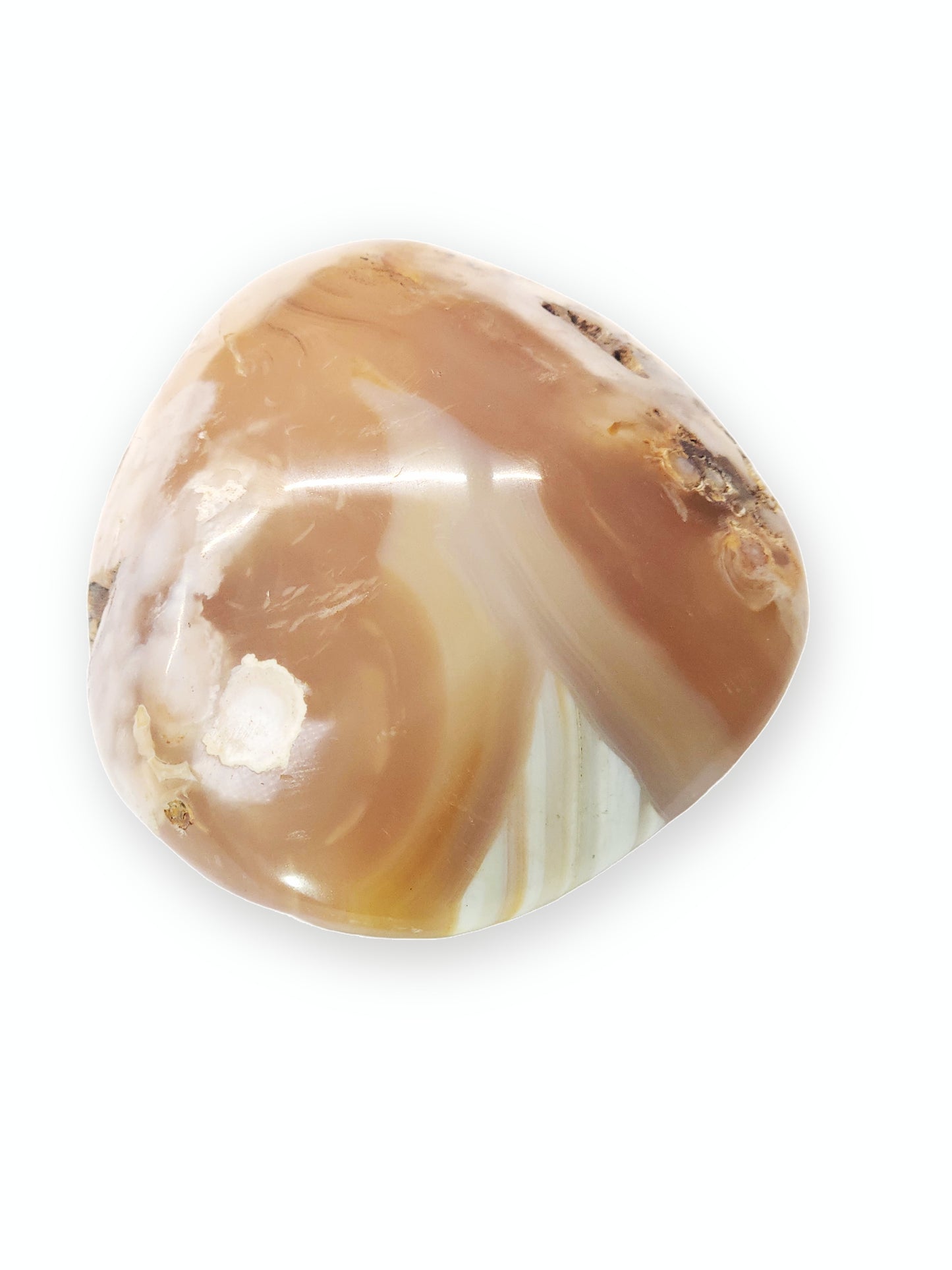 Flower Agate Palmstone FAP002