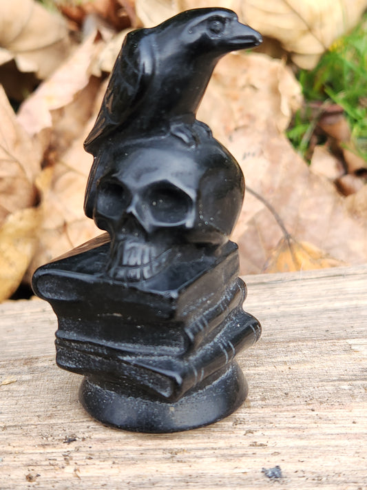 Raven on Skull on Books