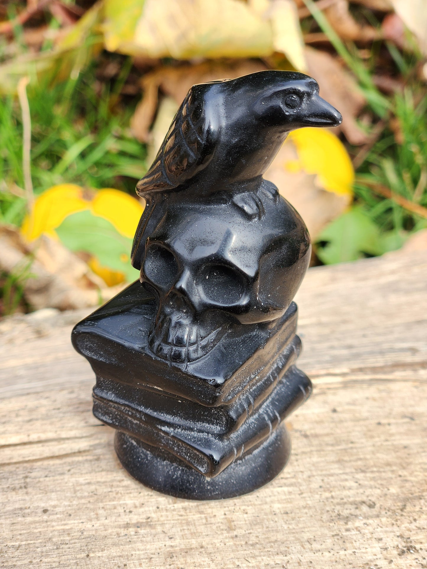 Raven on Skull on Books