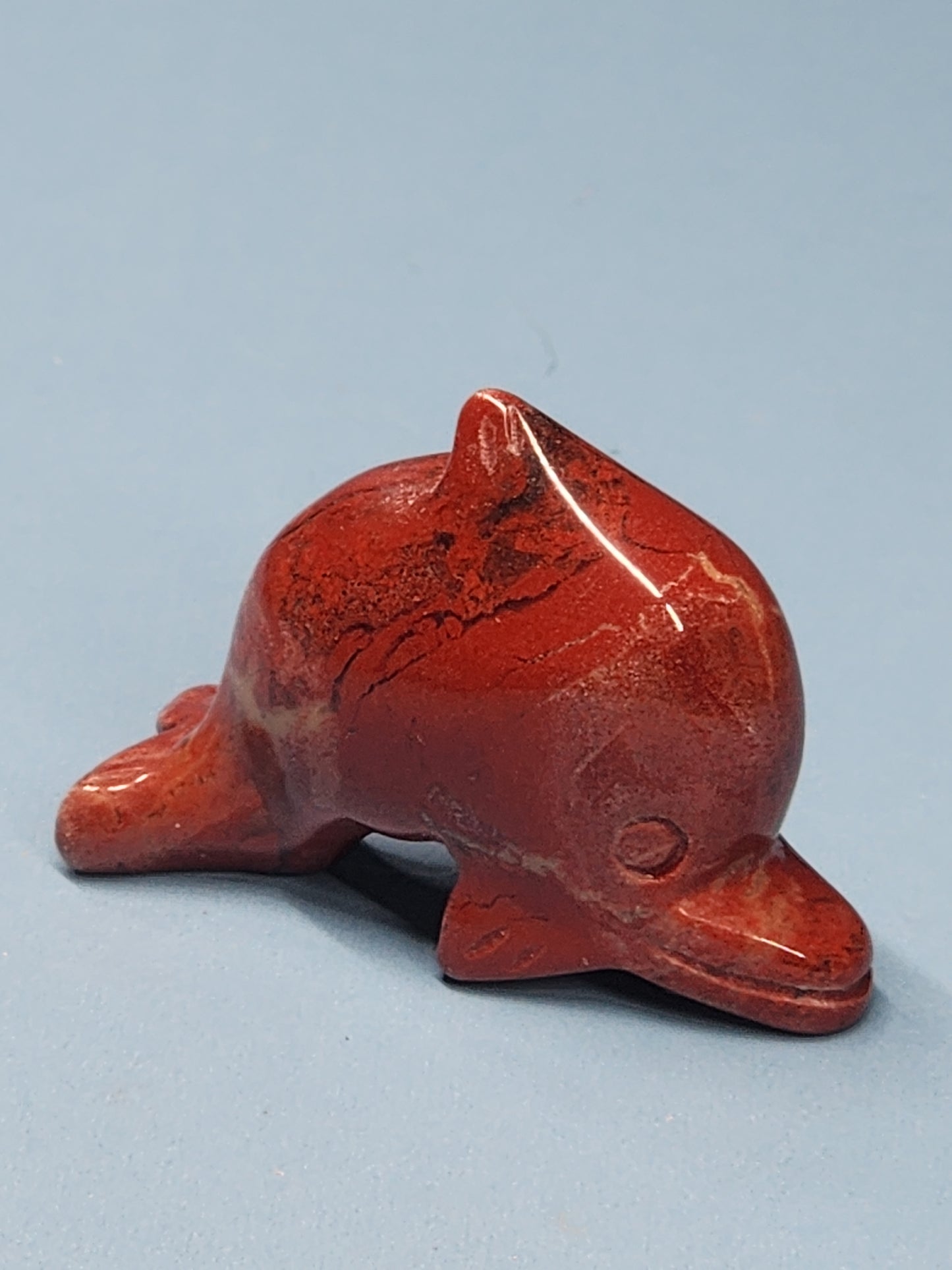 Dolphin Carving SEA-INT-16S5