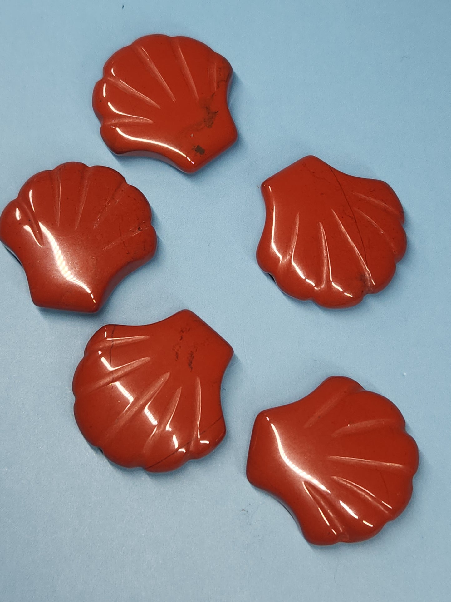 Scallop Shell Carving SEA-INT-SS5S5