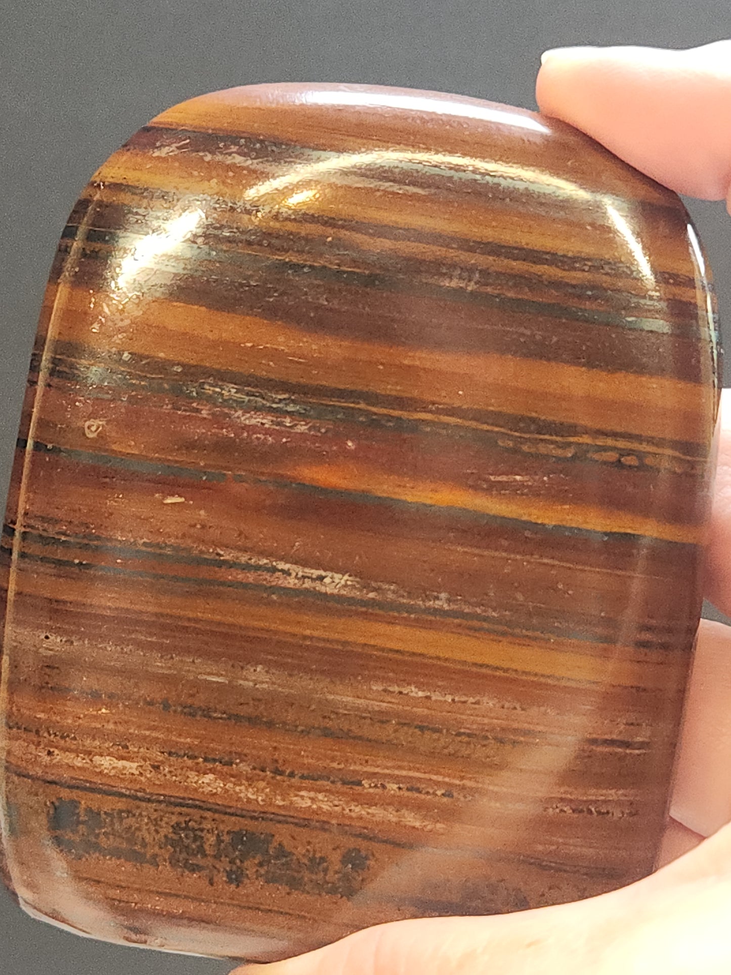 Banded Tiger Iron Freeform 371g