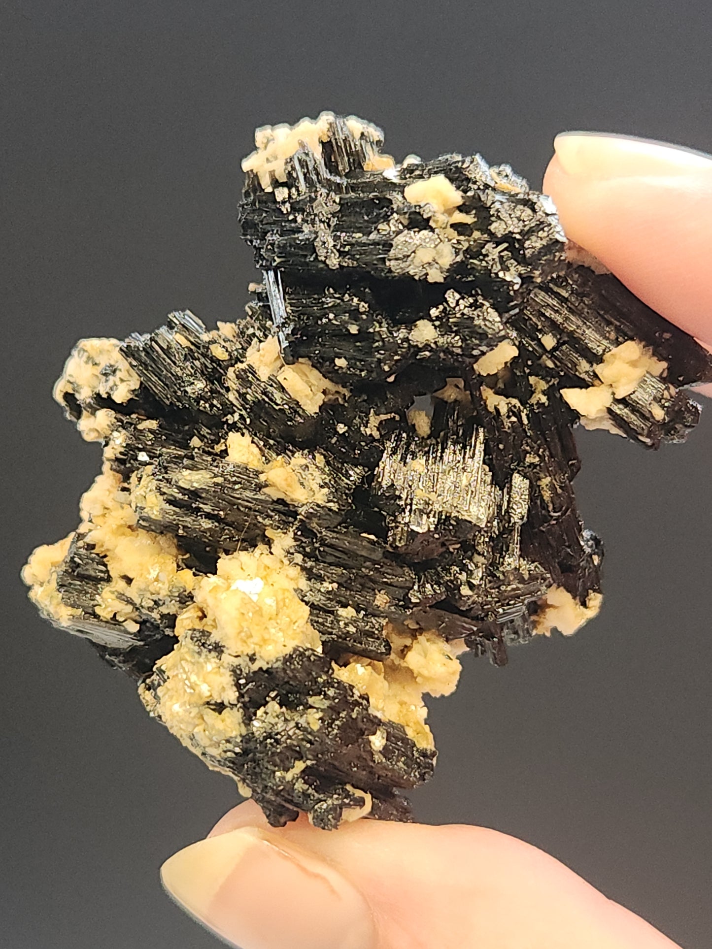 Black Tourmaline Cluster 50g BTR3
