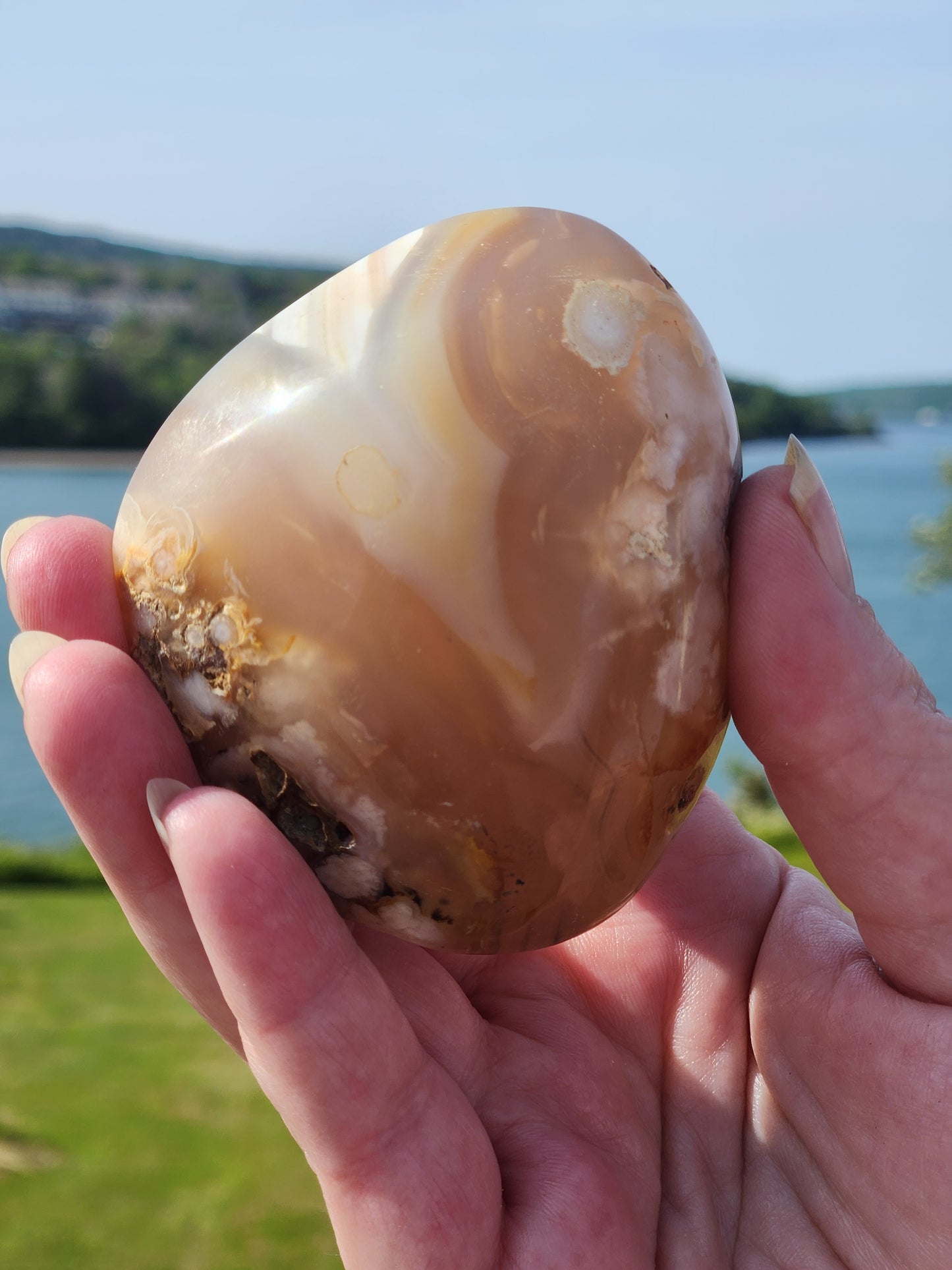 Flower Agate Palmstone FAP002