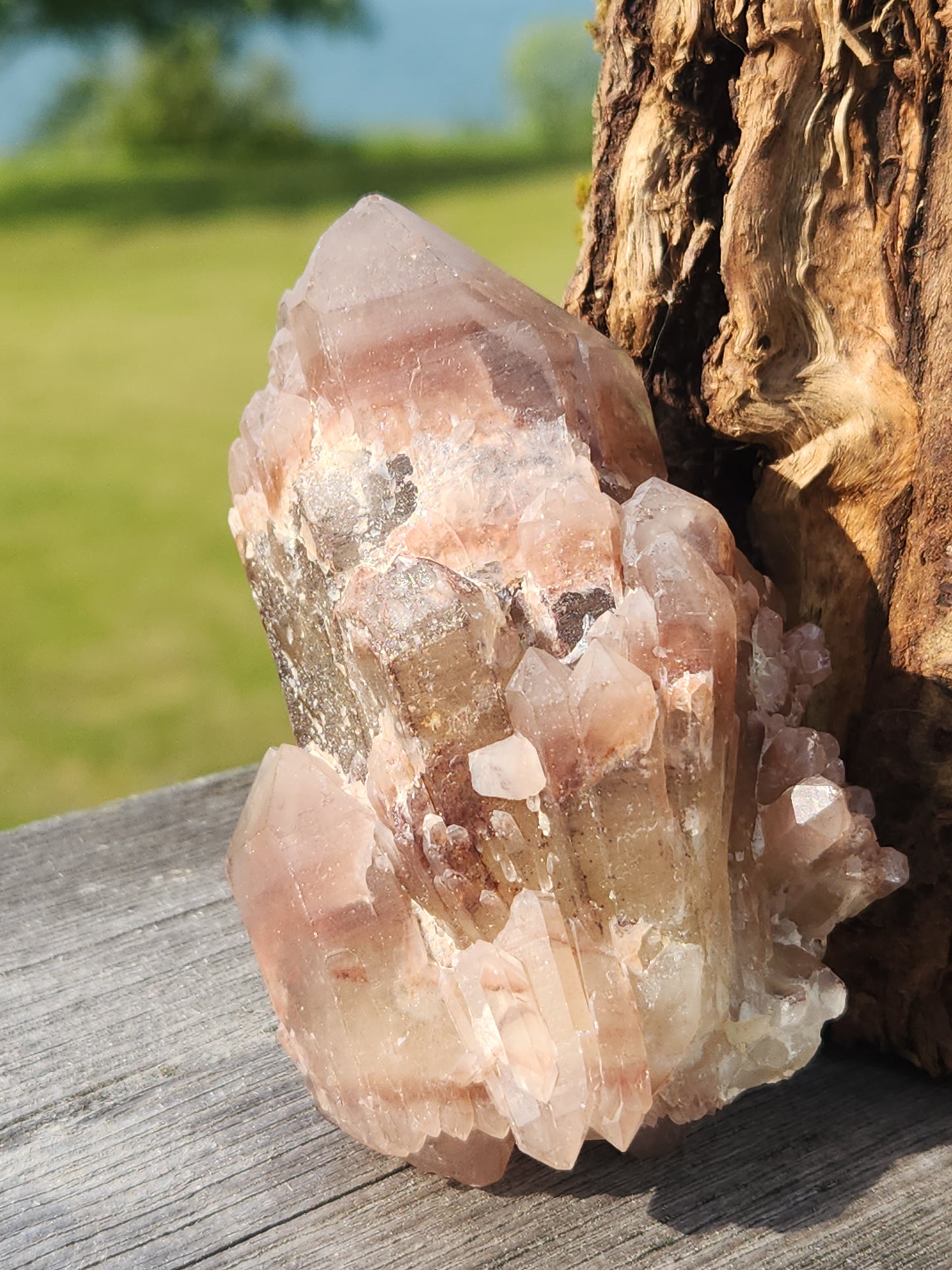 Hematoid Quartz Point HQP-014S-221
