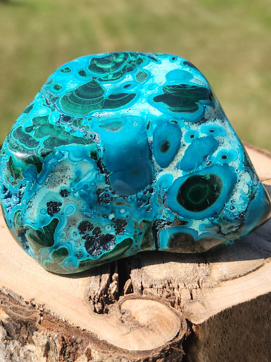 Malacolla Freeform MCF-004S-279-3