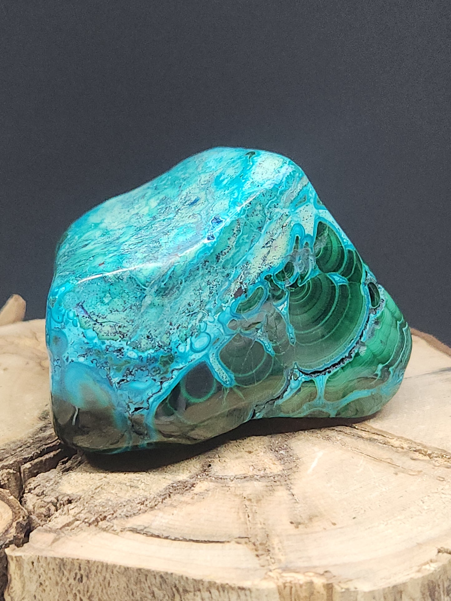 Malacolla Freeform MCF-004S-279-3