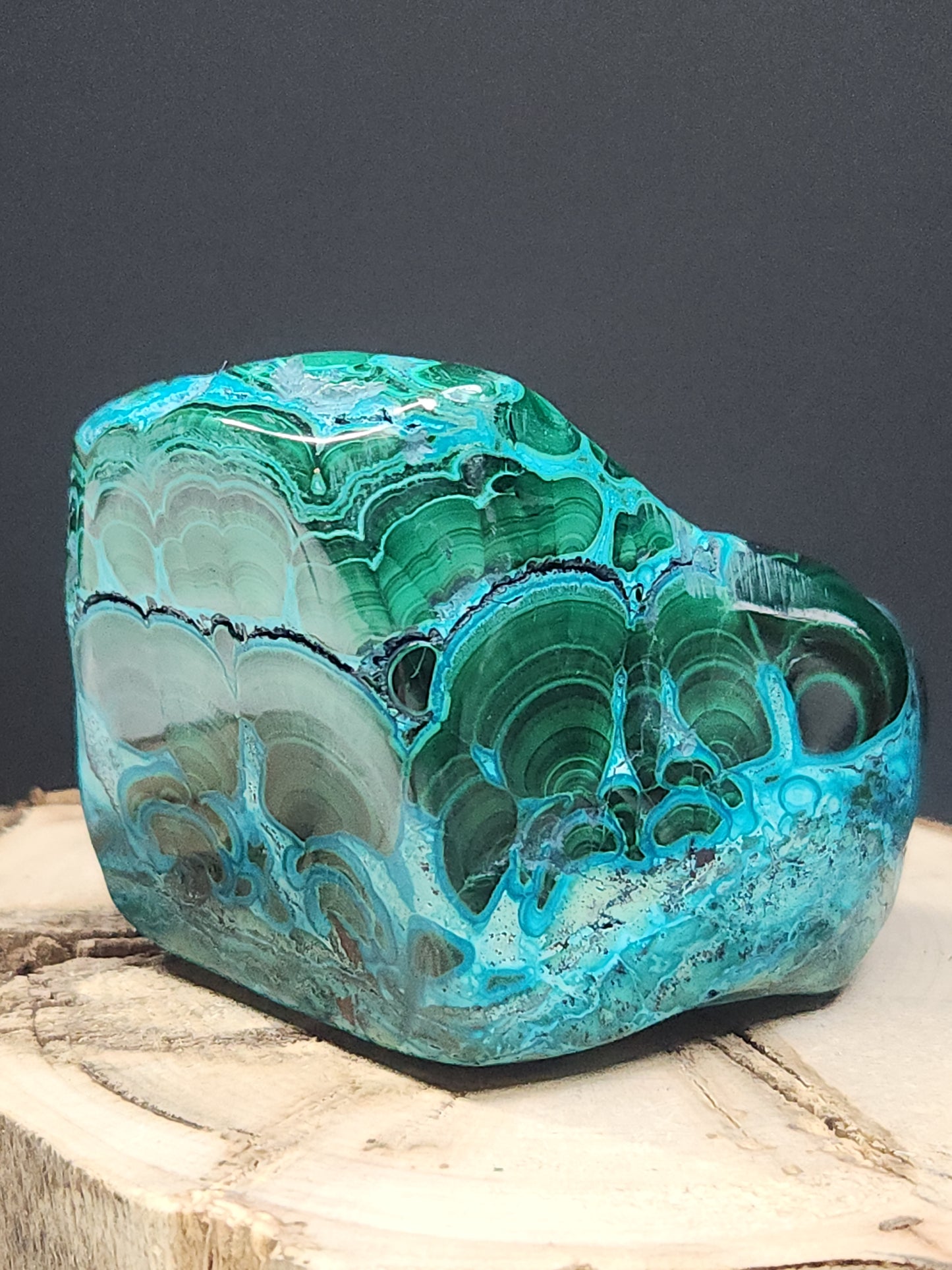 Malacolla Freeform MCF-004S-279-3
