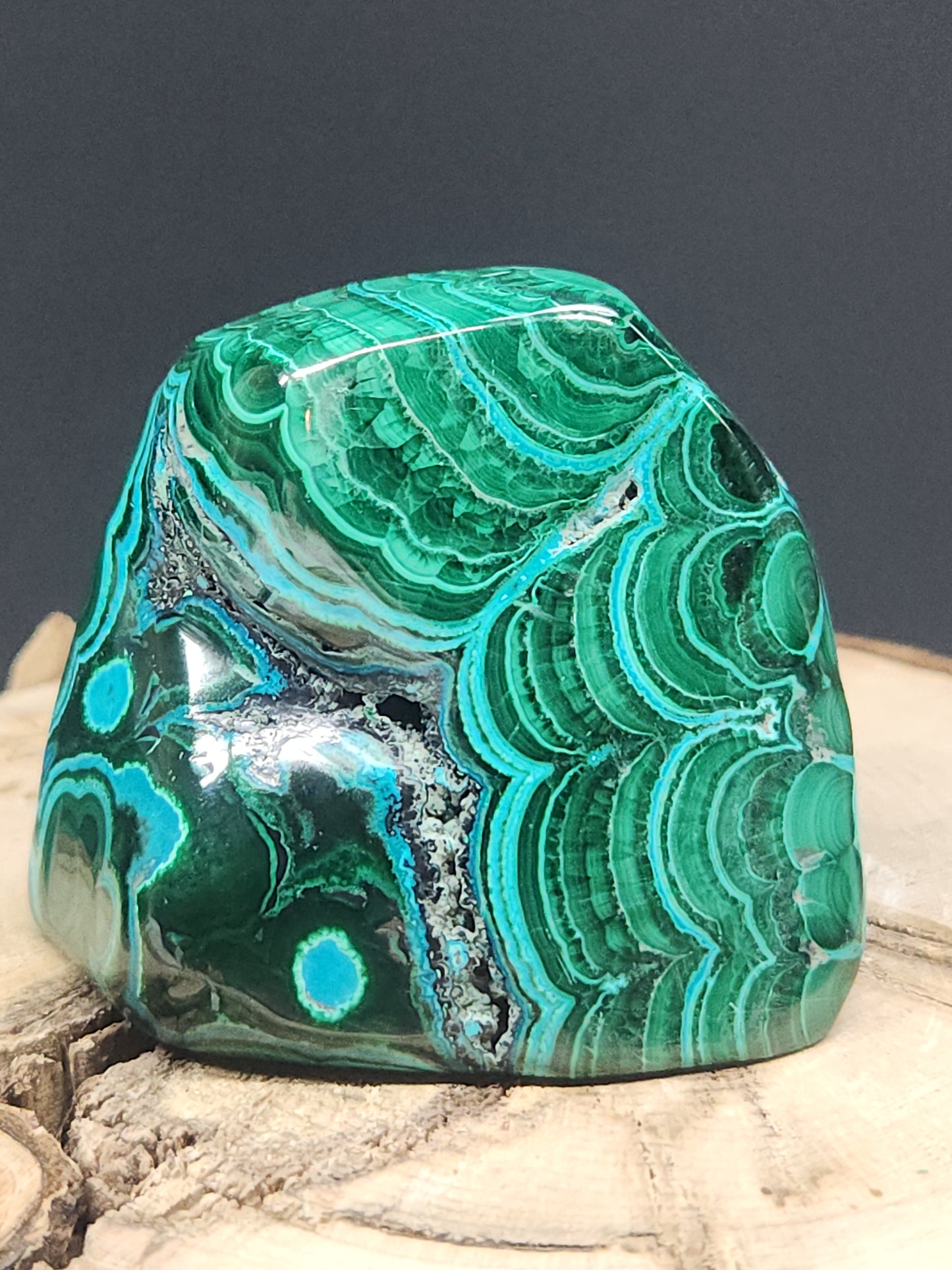 Malacolla Freeform MCF-006S-226-3