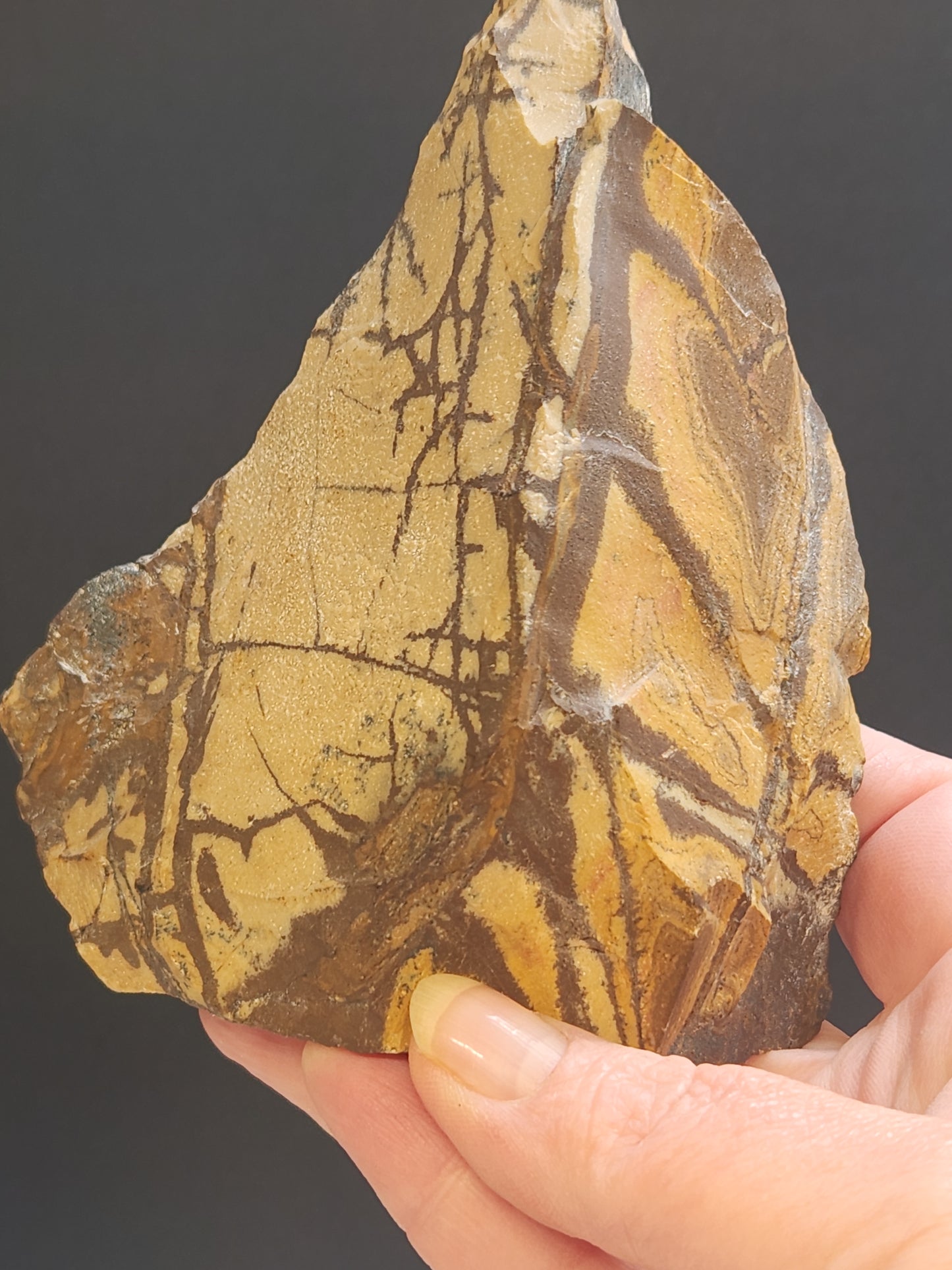 Nguni Jasper Face-Polished Freeform 414g