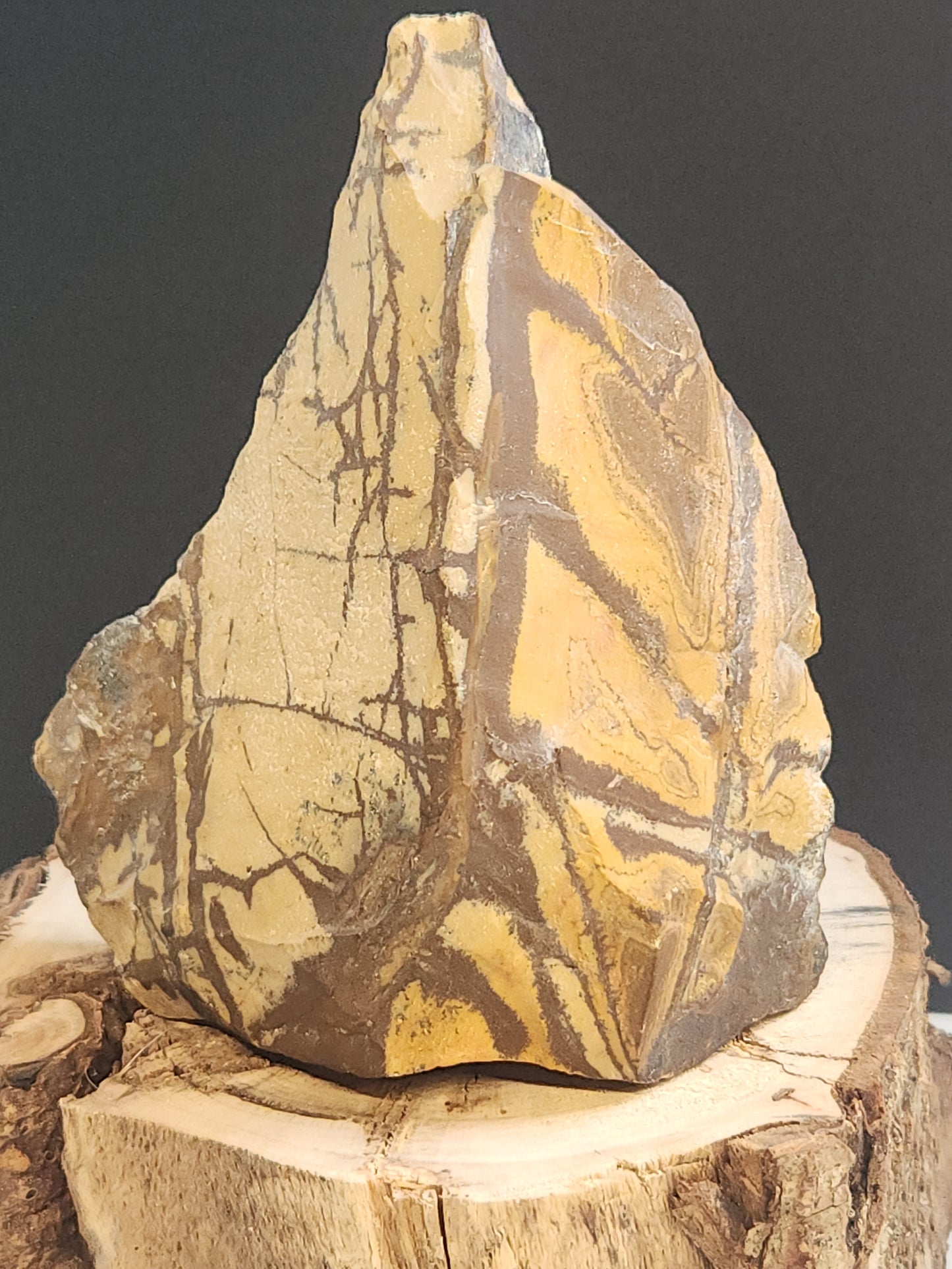 Nguni Jasper Face-Polished Freeform 414g