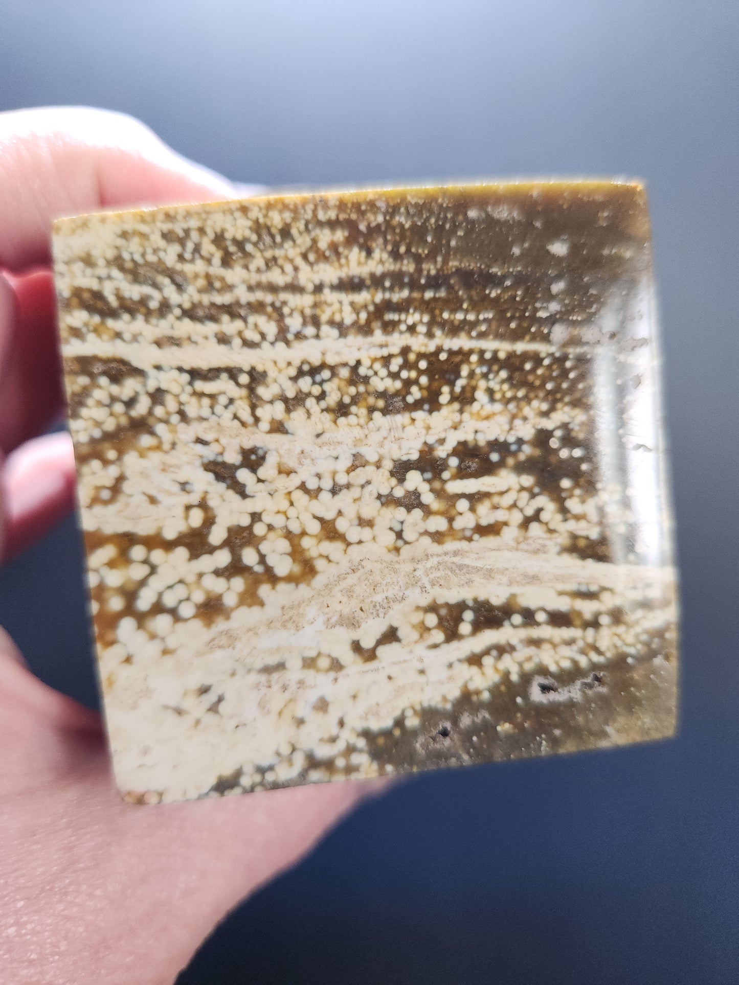 Ocean Jasper Cube 491g