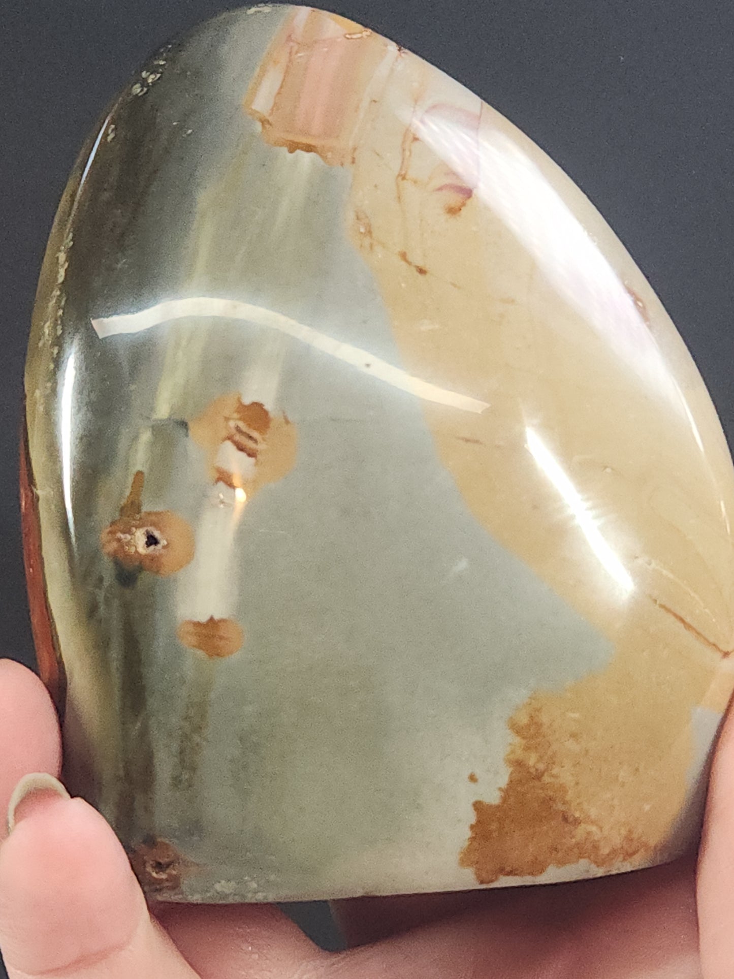 Polychrome Freeform PJF-001S-438-3