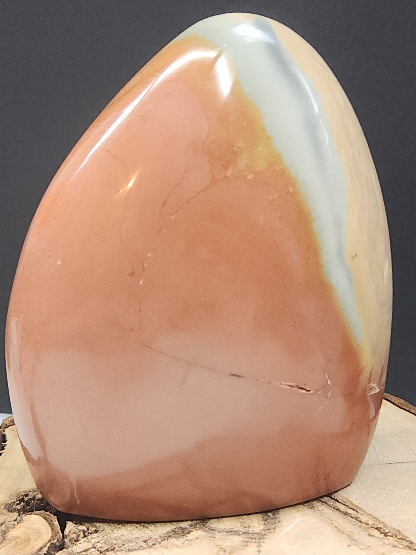 Polychrome Freeform PJF-002S-591-4