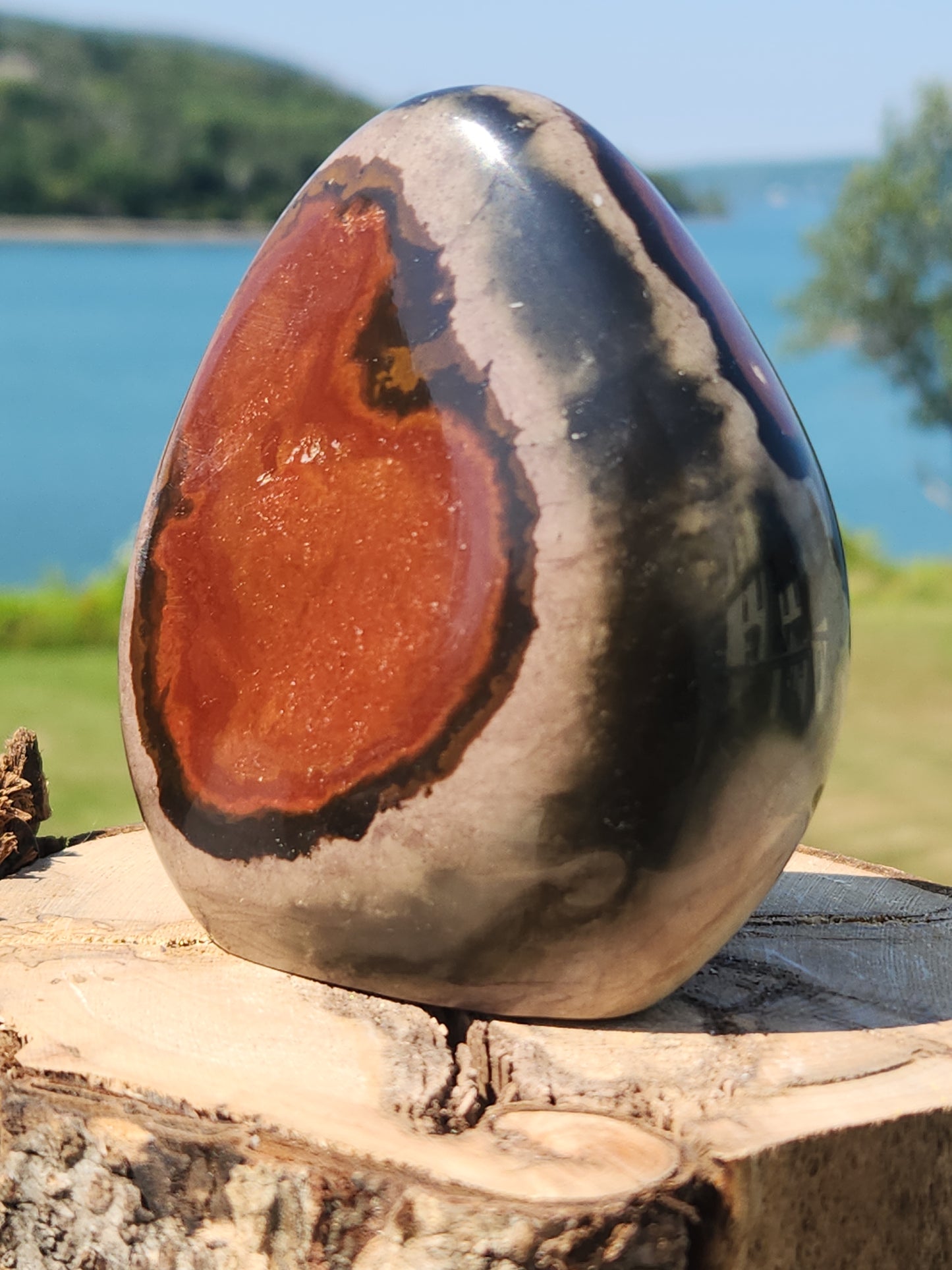 Polychrome Freeform PJF-005S-420-4