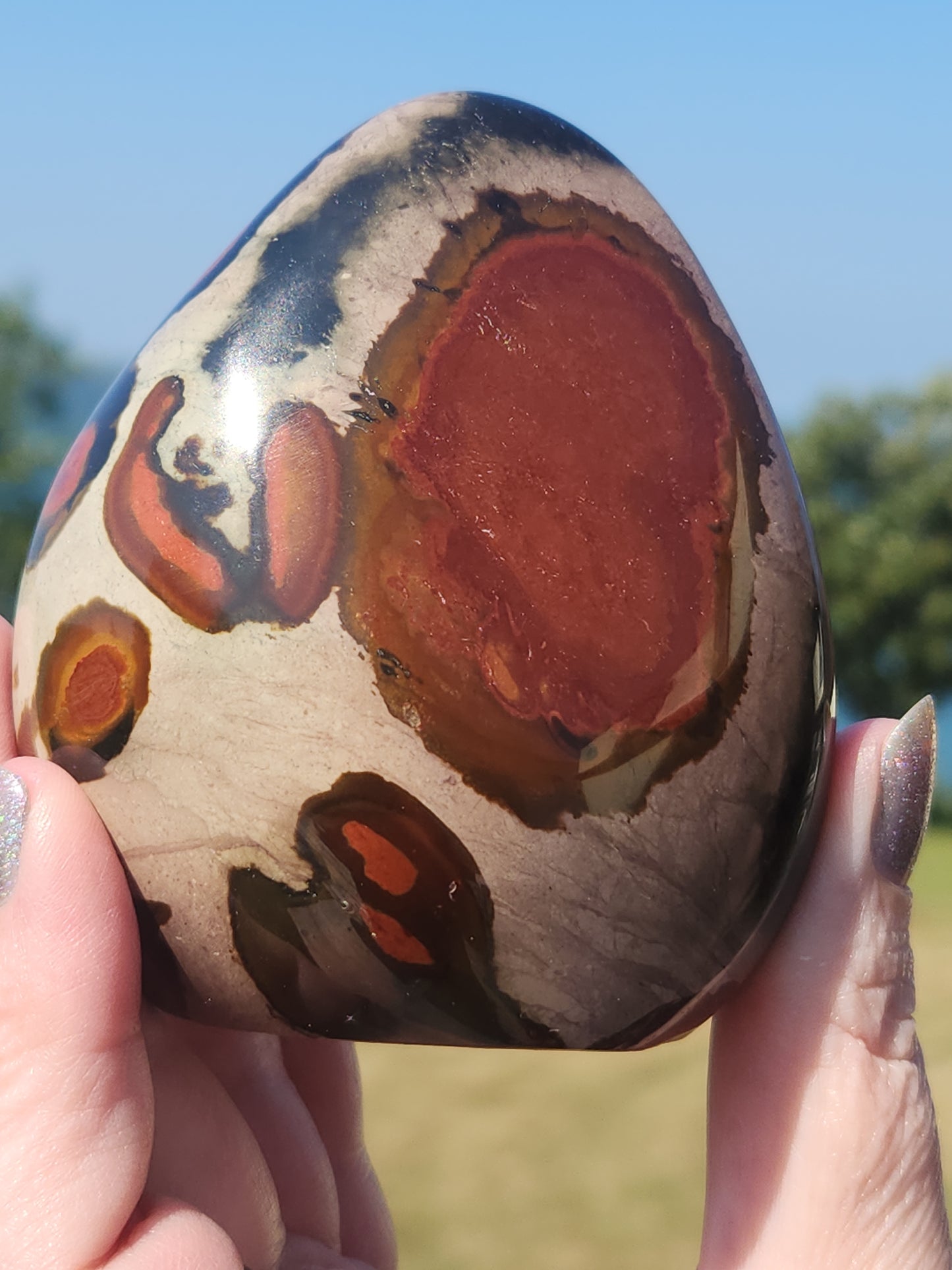 Polychrome Freeform PJF-005S-420-4