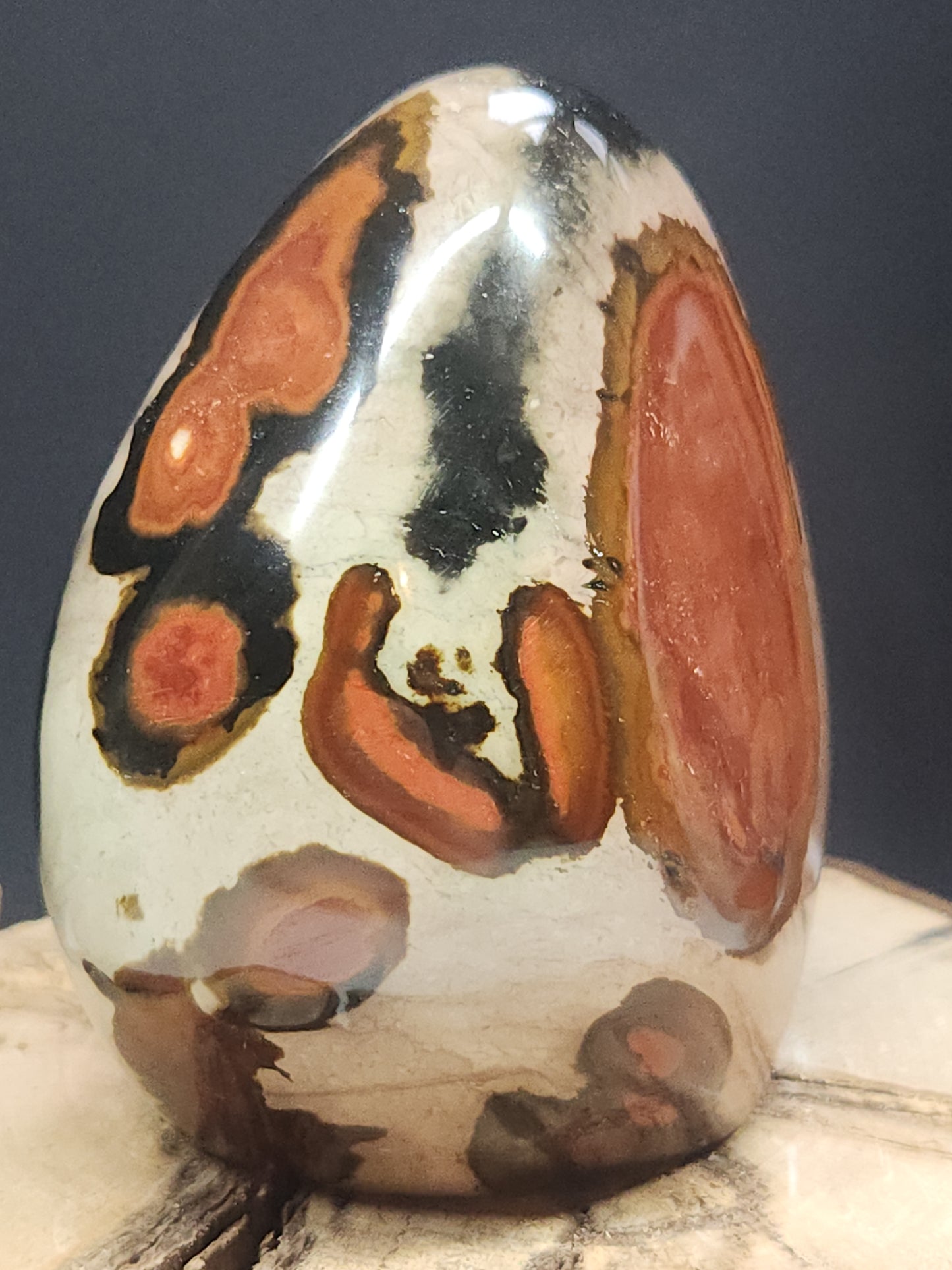 Polychrome Freeform PJF-005S-420-4
