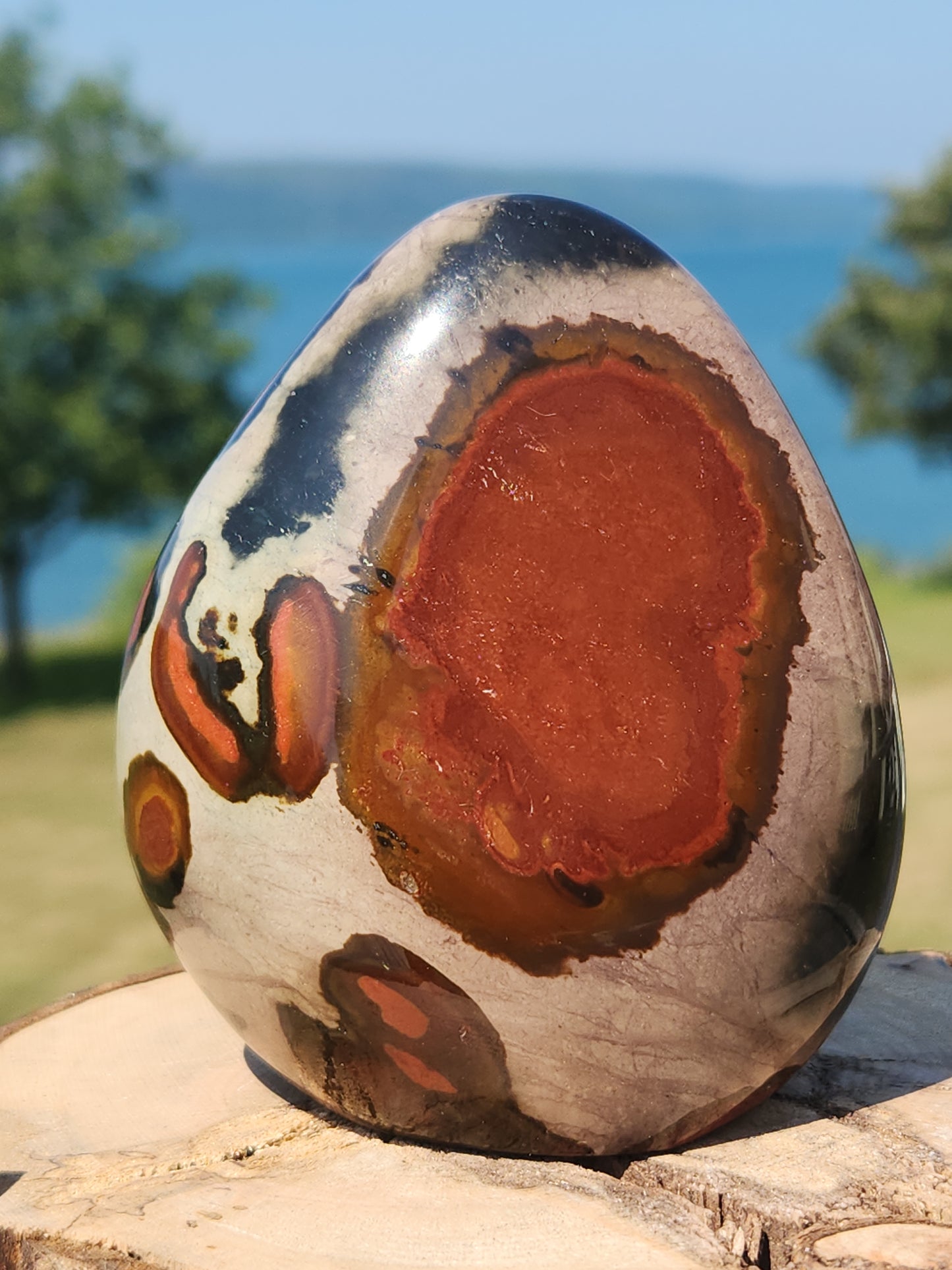 Polychrome Freeform PJF-005S-420-4