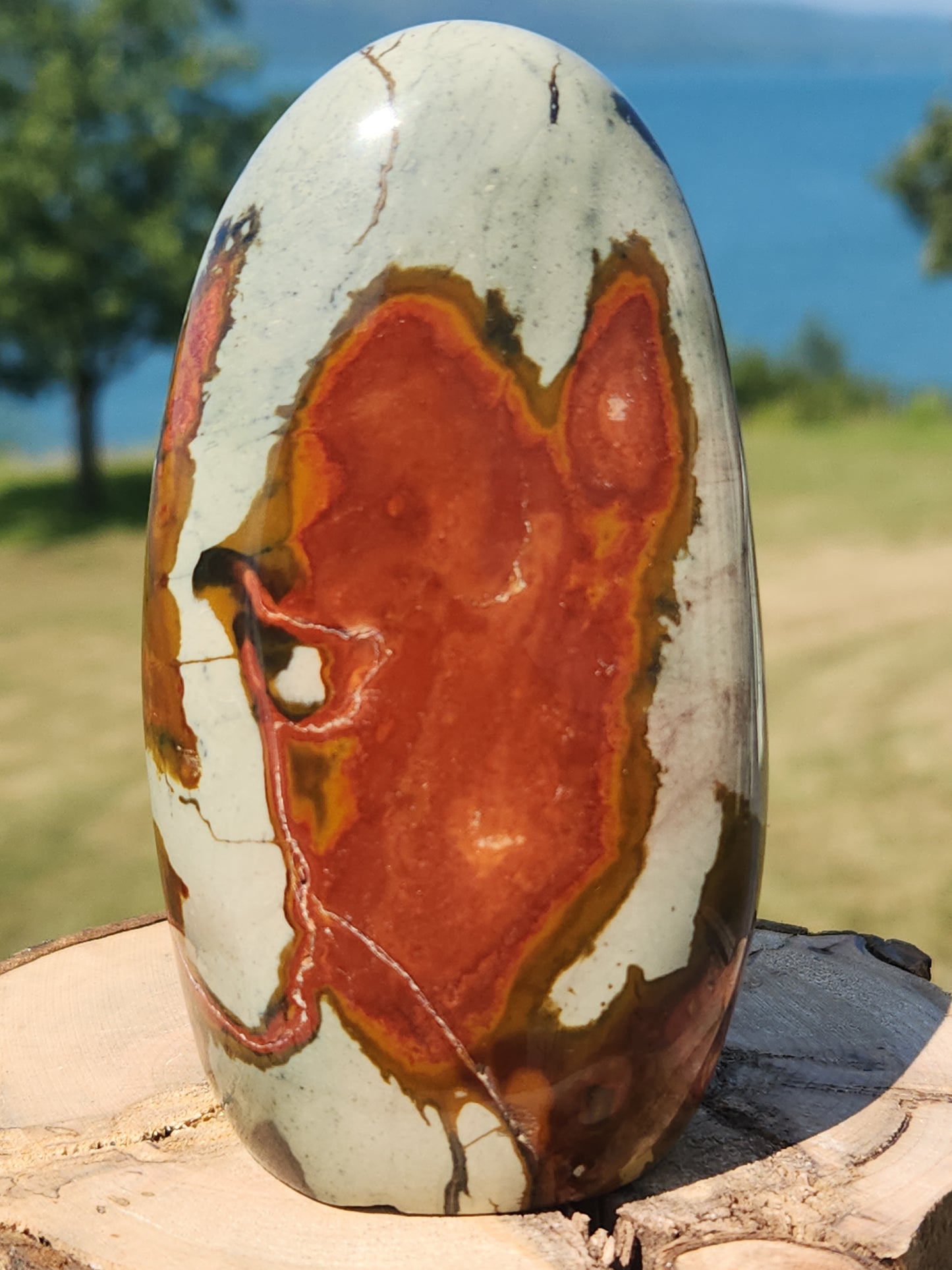 Polychrome Freeform PJF-006S-460-4