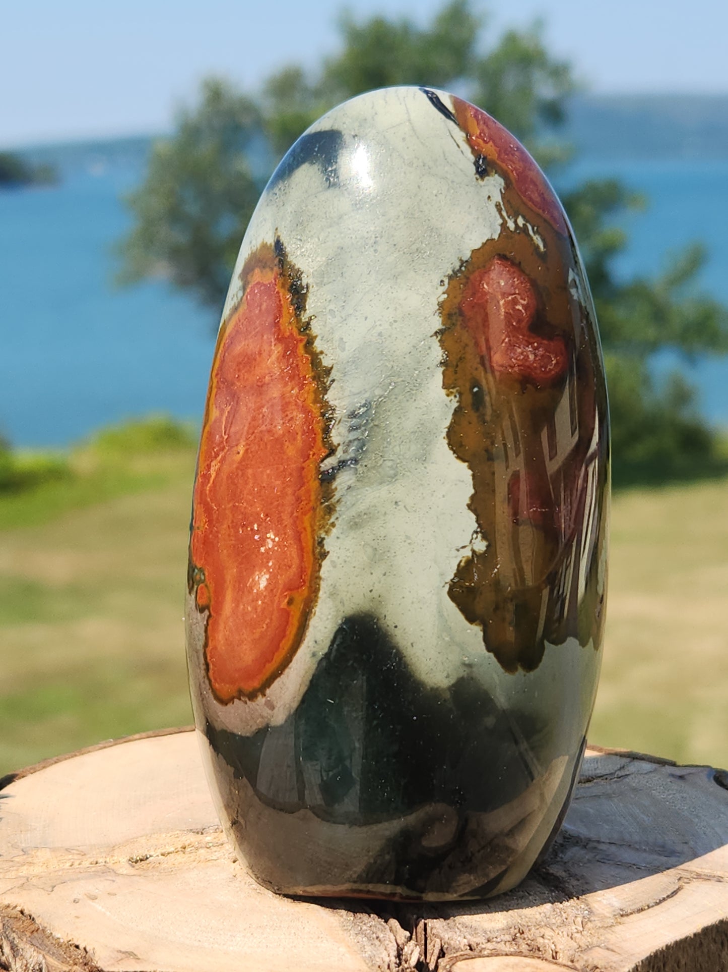 Polychrome Freeform PJF-006S-460-4