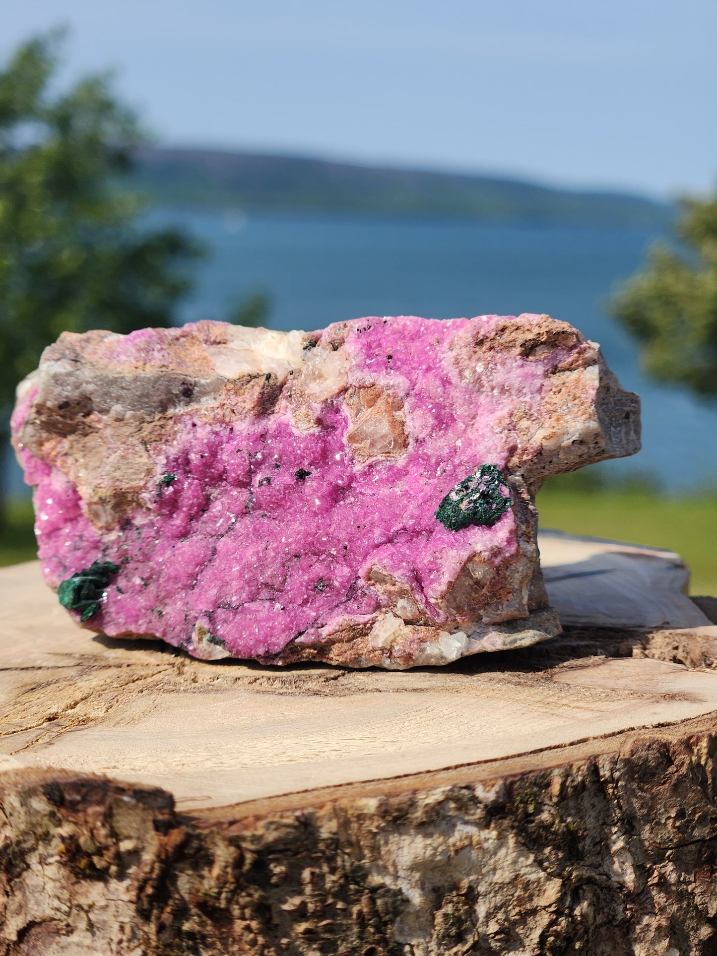 Salrose, Cobaltoan Dolomite SD-006S