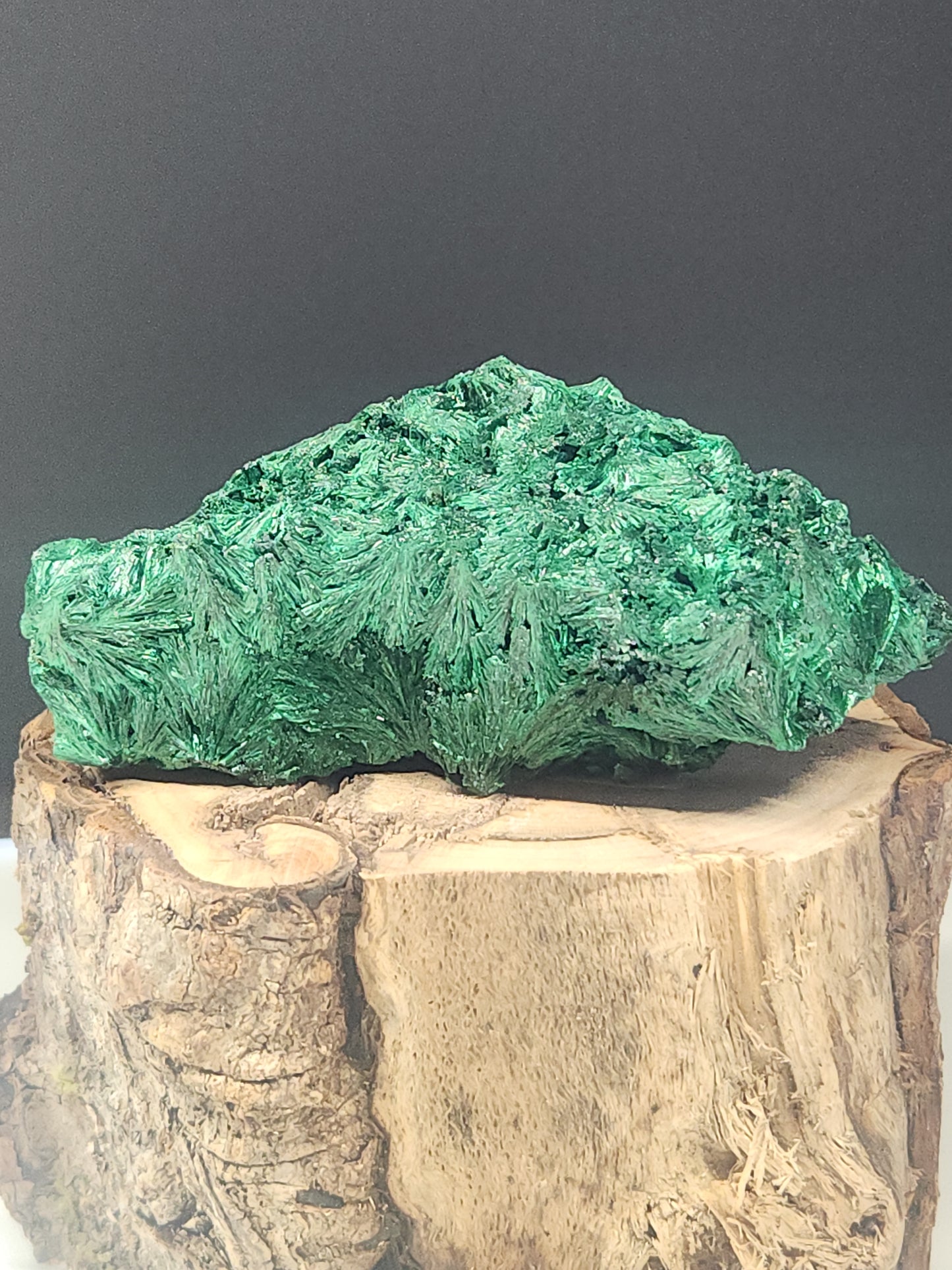 Silky Malachite Rough SMR-017S-377-5