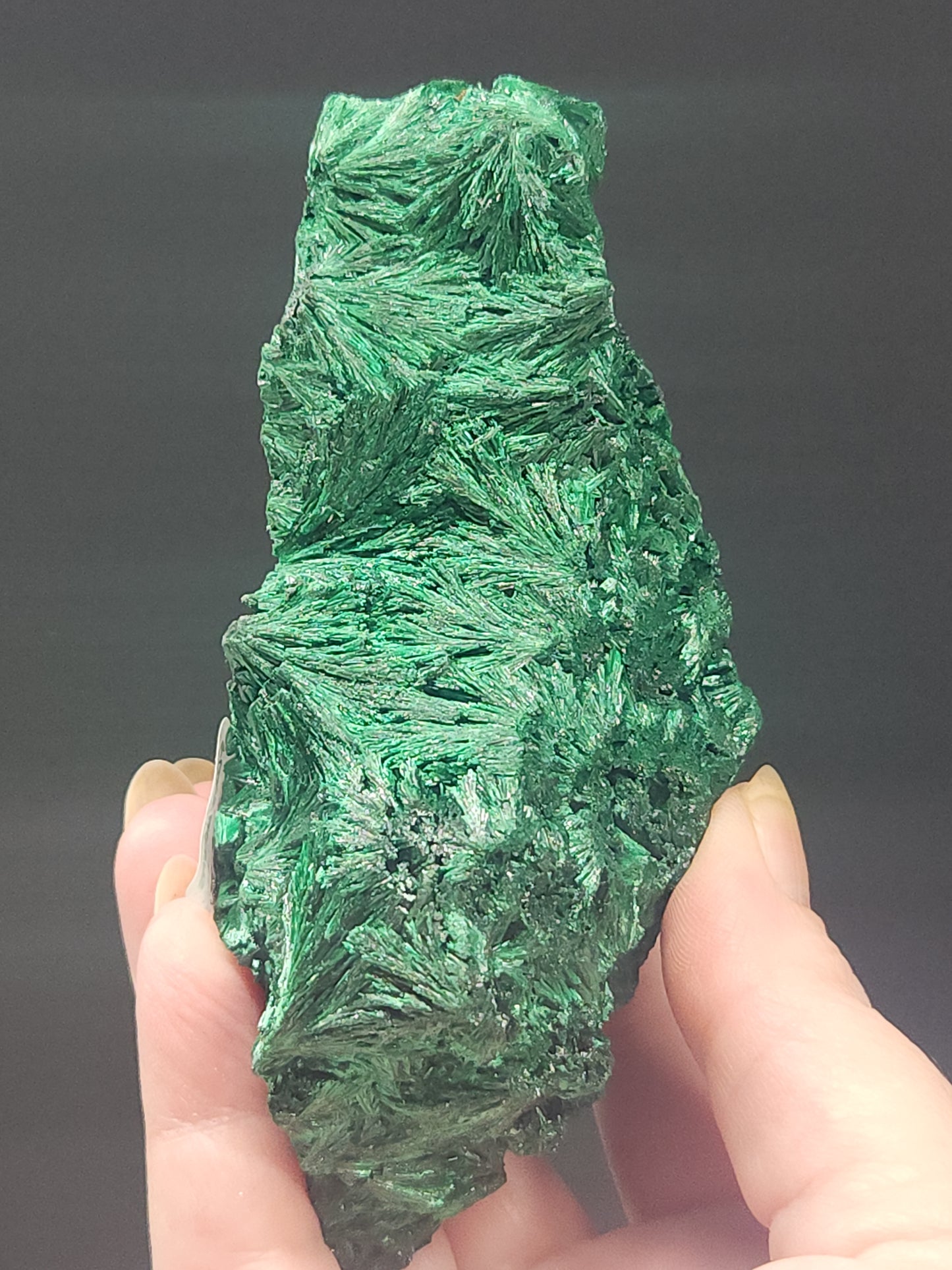 Silky Malachite Rough SMR-017S-377-5