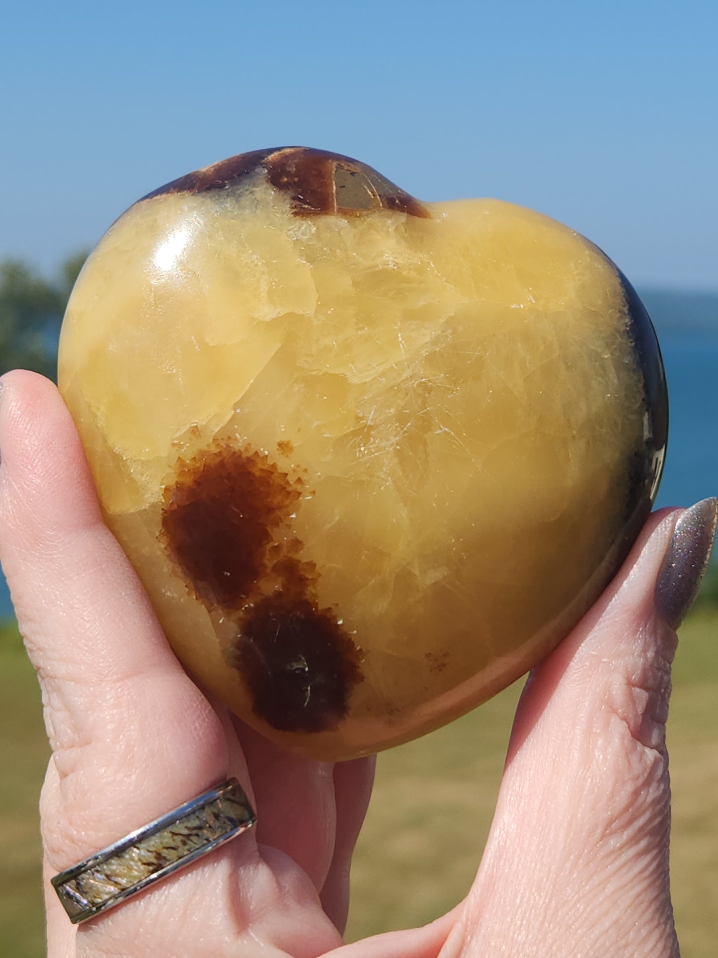 Septarian Heart SPTH-005S-318-3