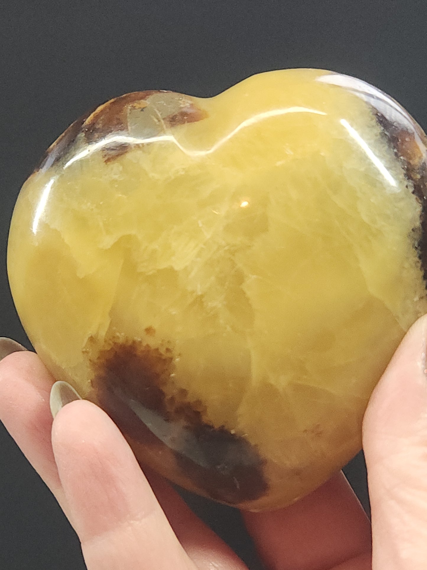 Septarian Heart SPTH-005S-318-3