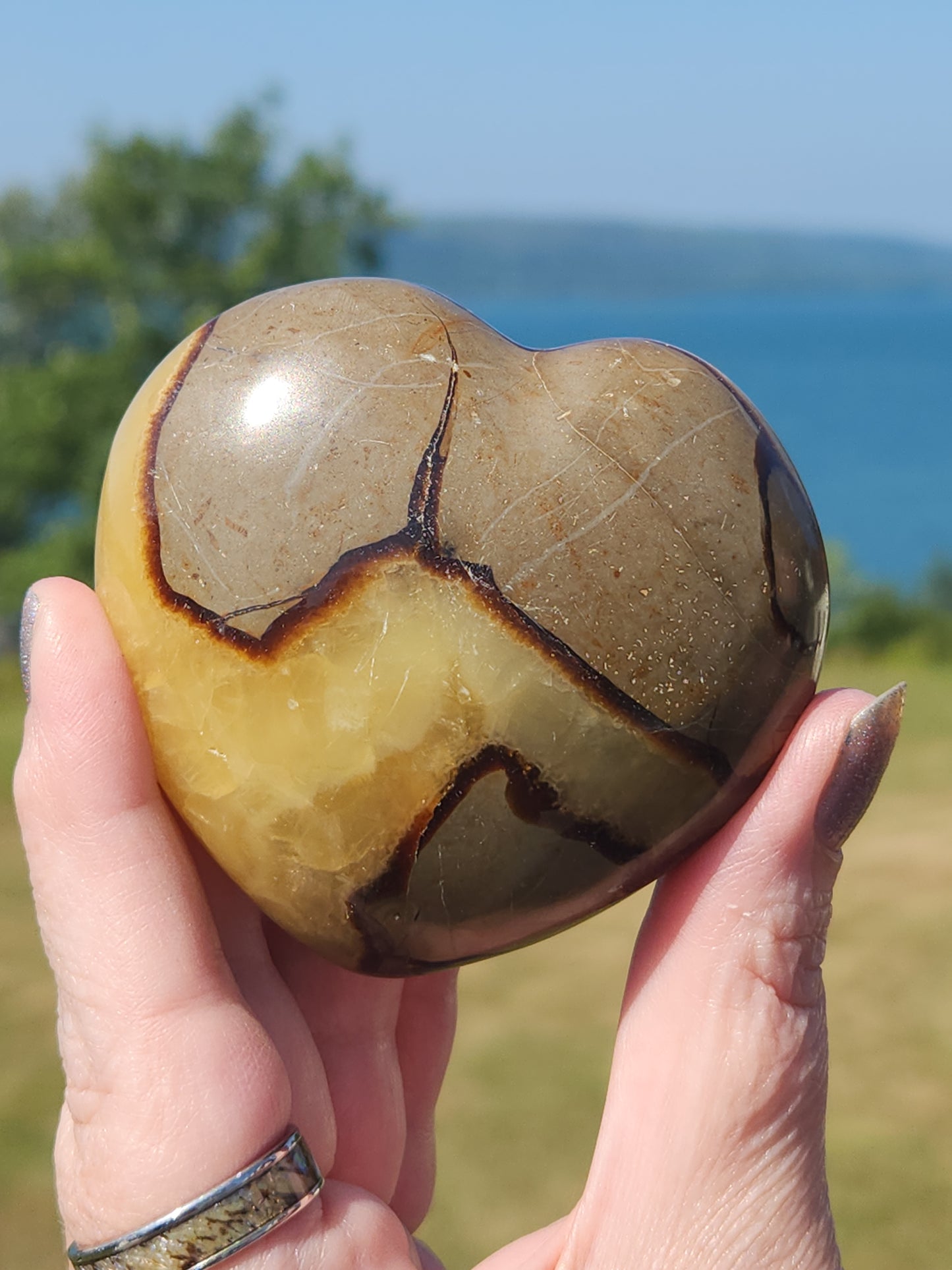 Septarian Heart SPTH-006S-234-3