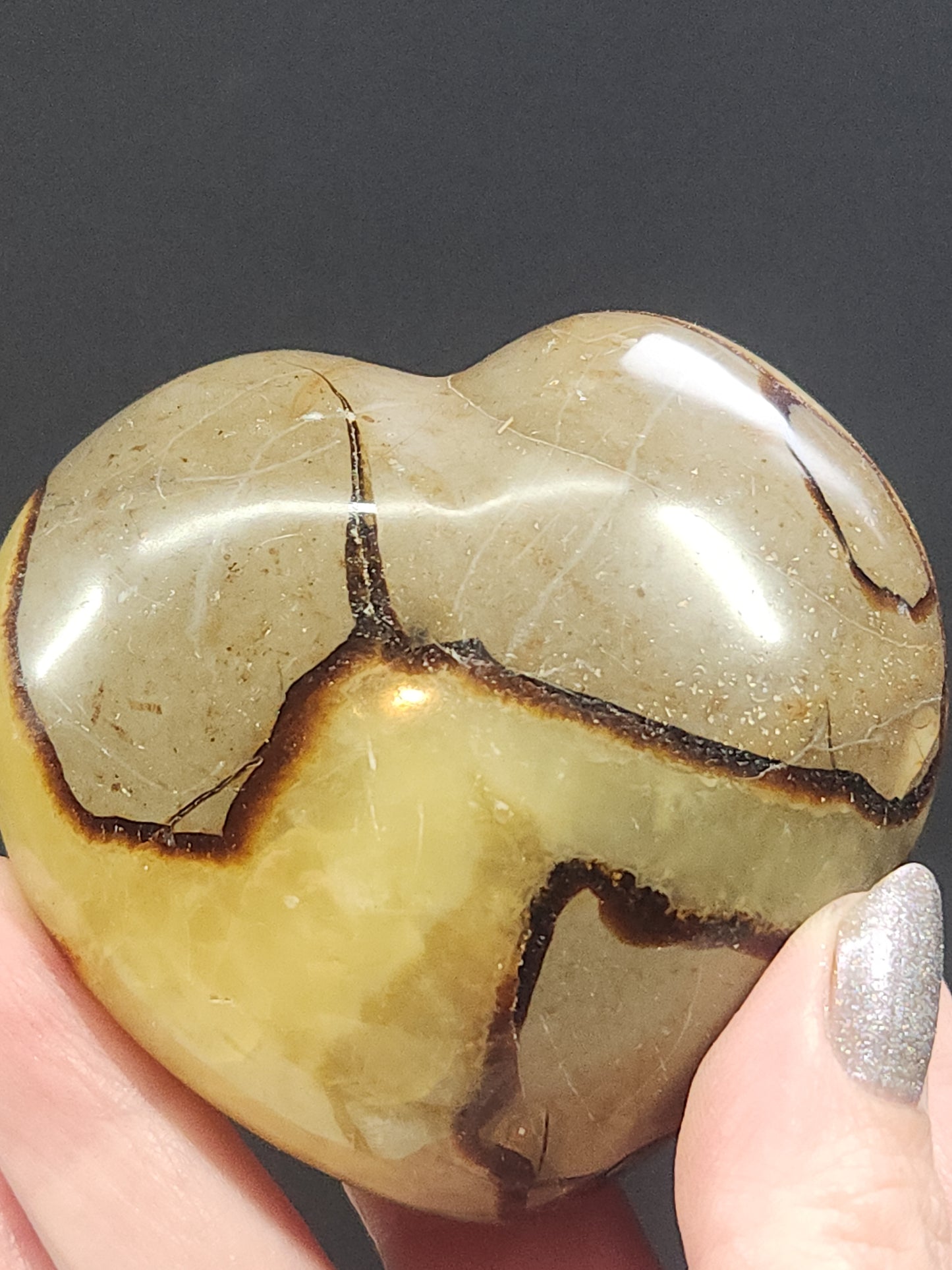 Septarian Heart SPTH-006S-234-3