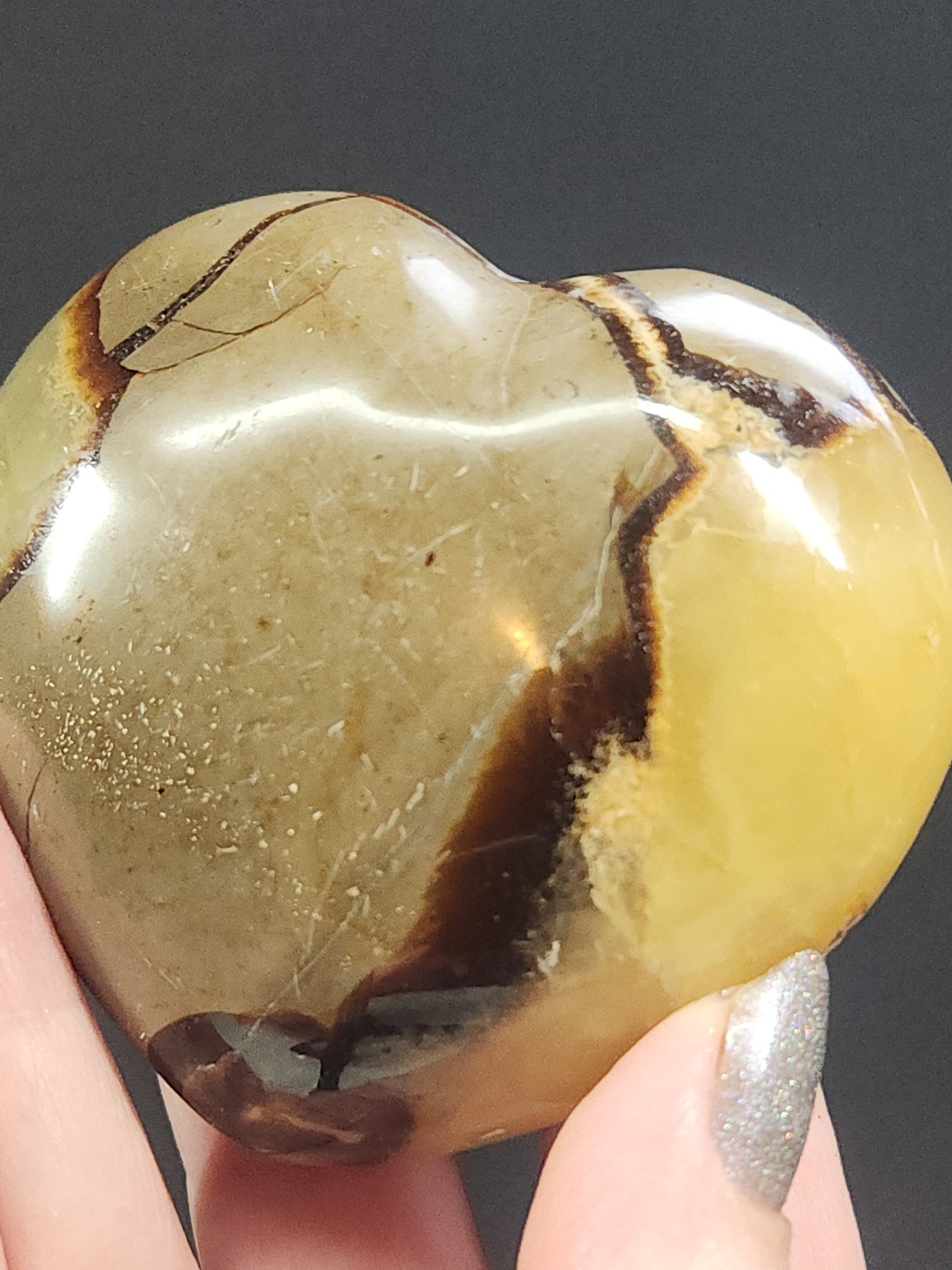 Septarian Heart SPTH-006S-234-3
