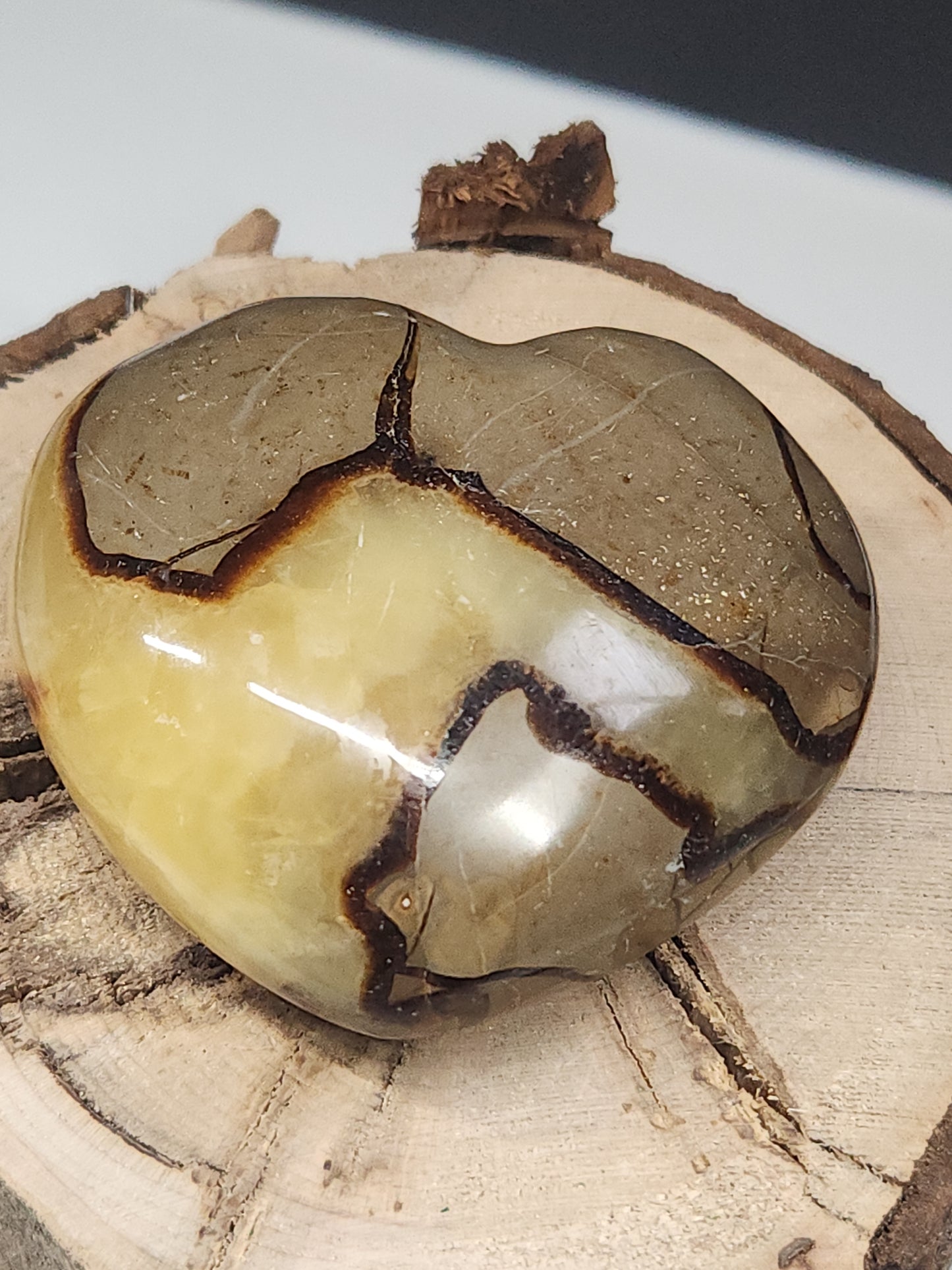 Septarian Heart SPTH-006S-234-3