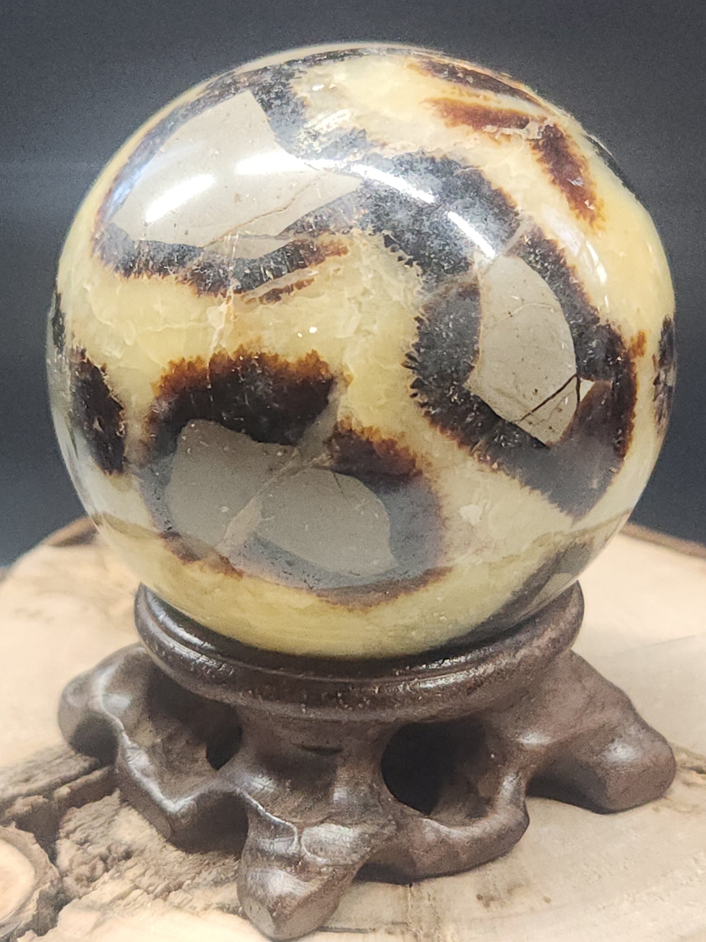 Septarian Sphere SPTS-001S-352-8