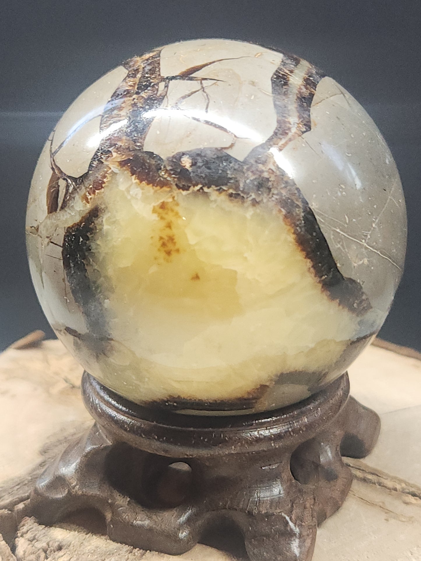 Septarian Sphere SPTS-001S-352-8