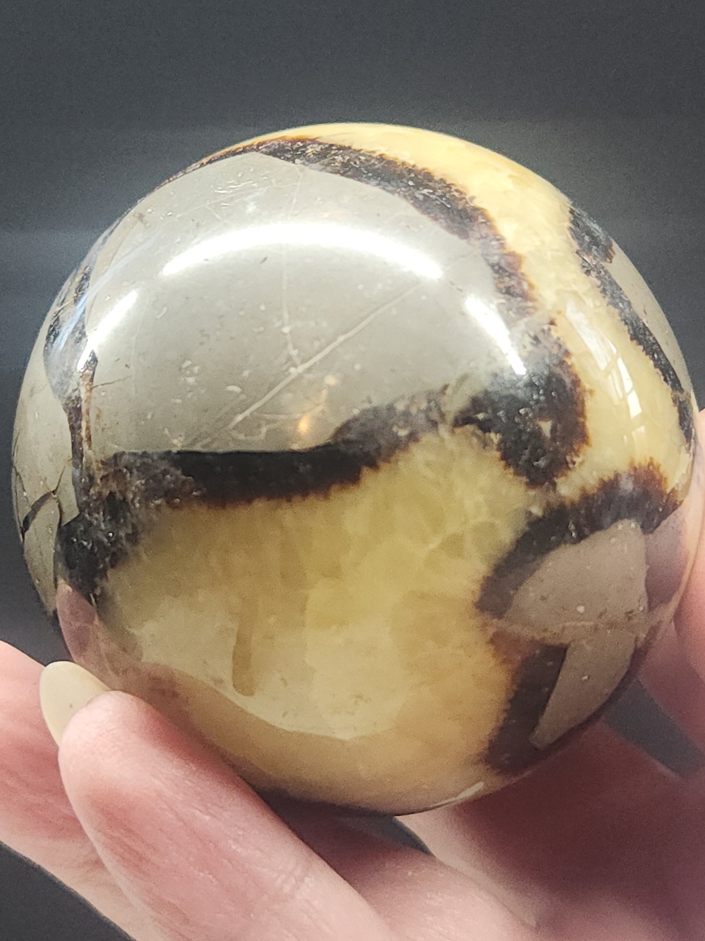 Septarian Sphere SPTS-001S-352-8