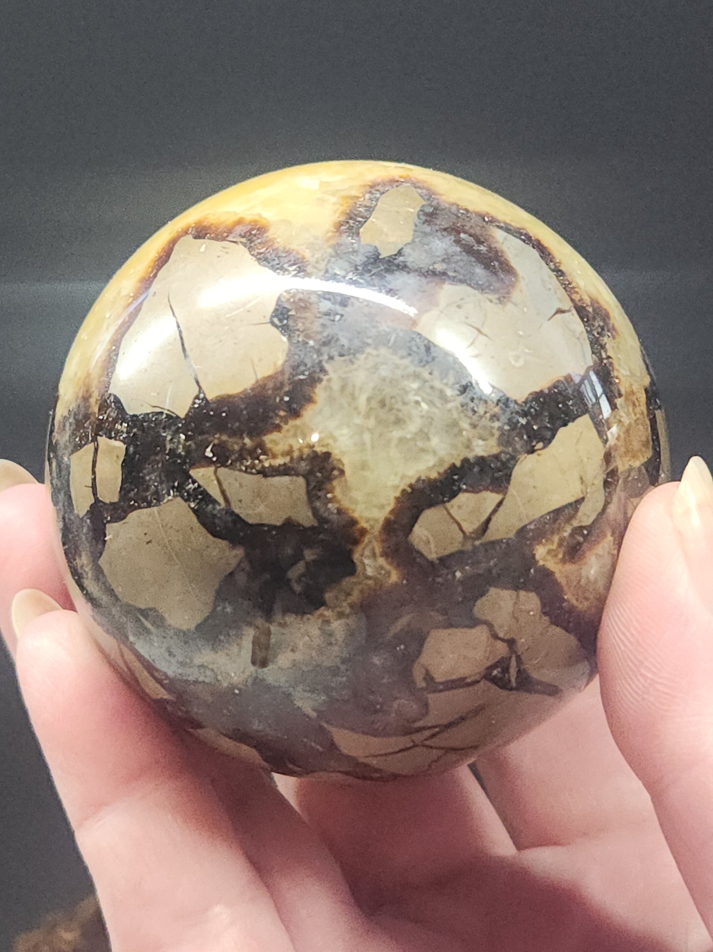 Septarian Sphere SPTS-002S-423-8