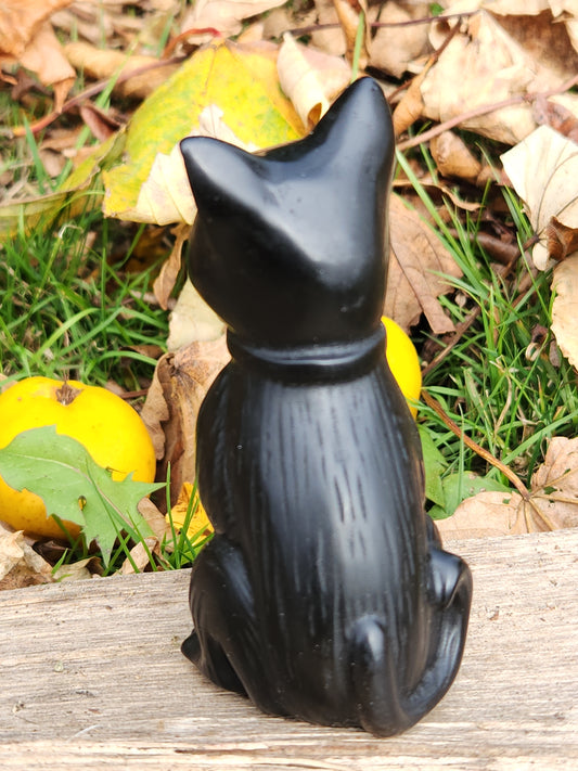 Black Cat Carving