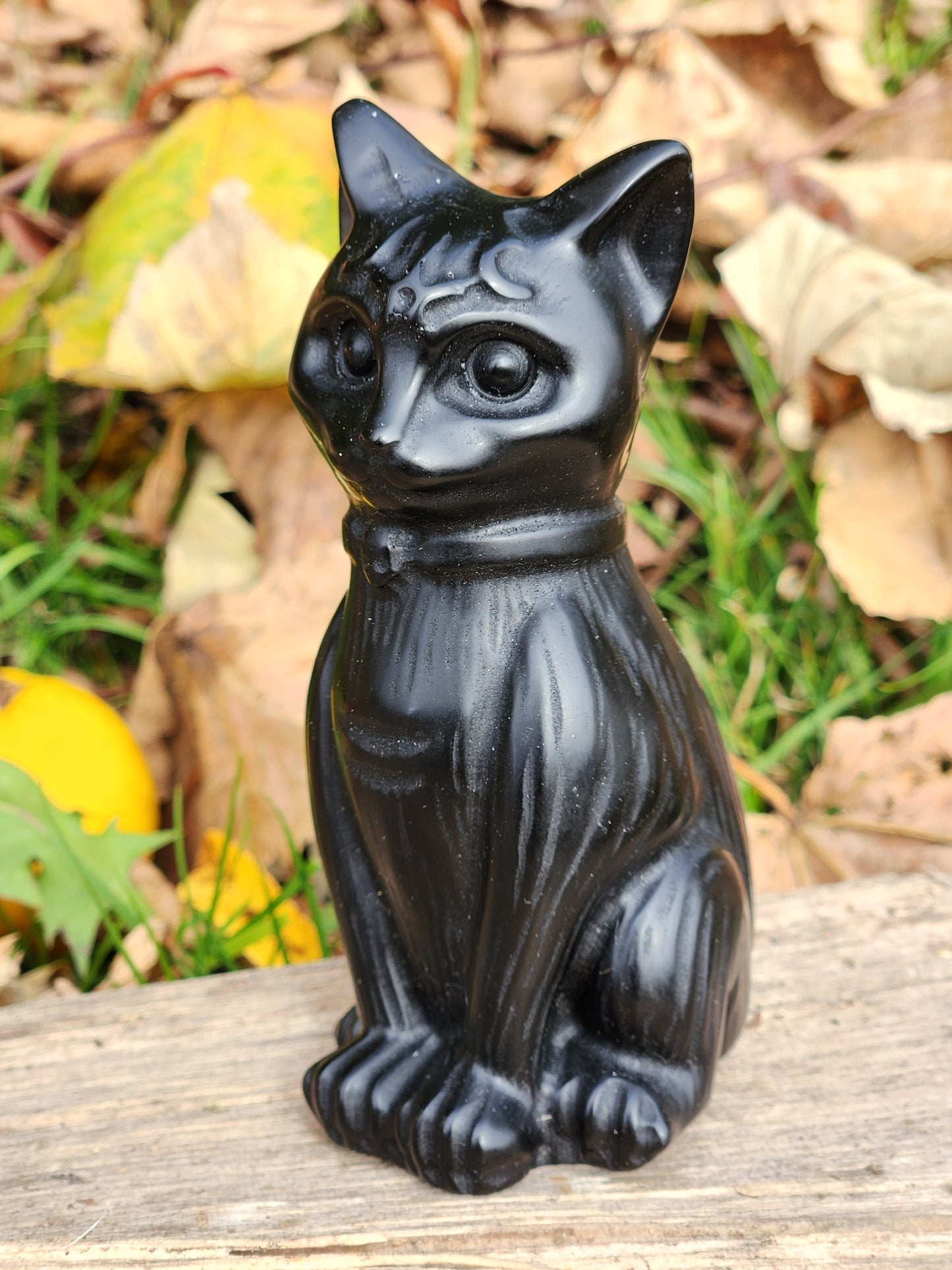 Black Cat Carving