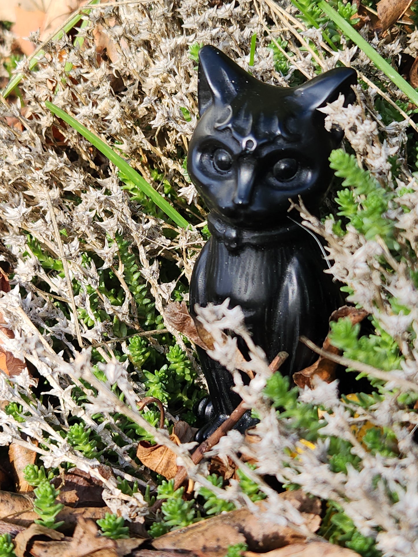 Black Cat Carving