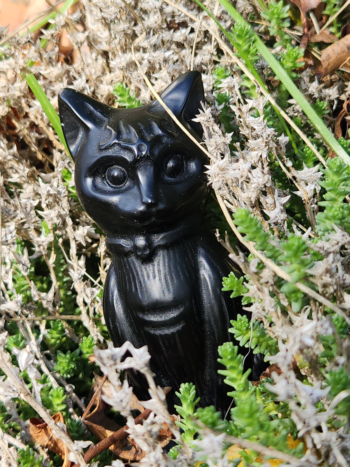 Black Cat Carving