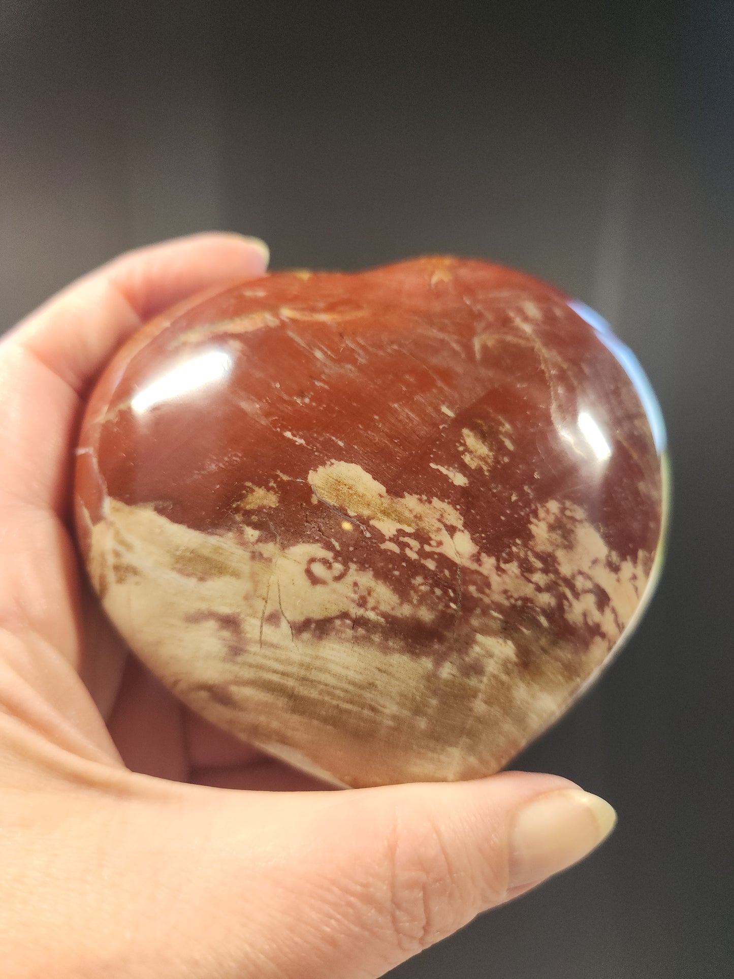 Petrified Wood Heart 520g