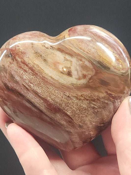 Petrified Wood Heart PWH-003S4-338