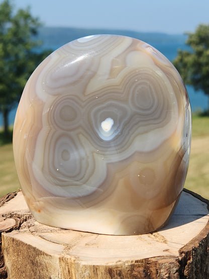 Orca Agate Freeform 731g