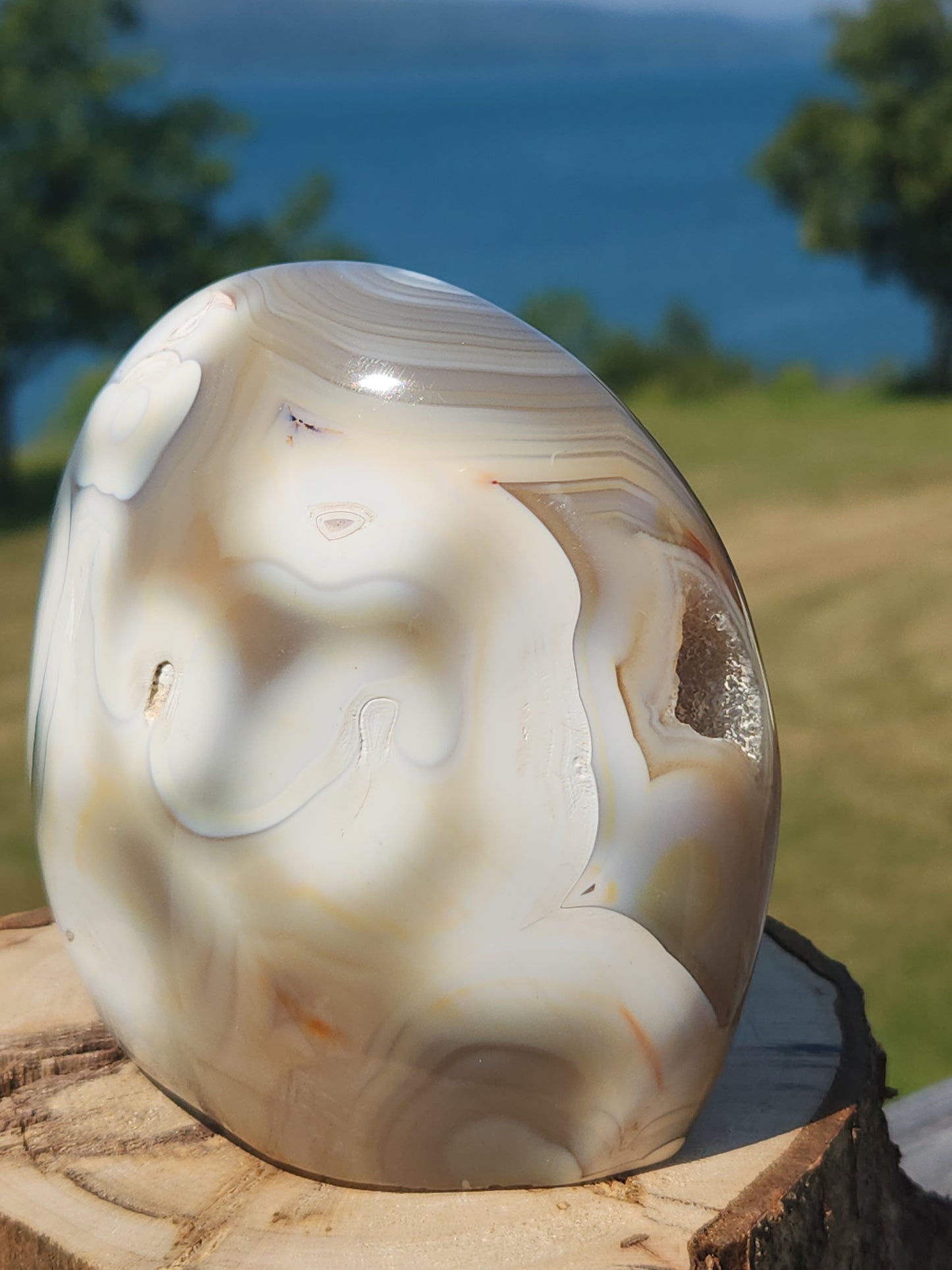 Orca Agate Freeform 731g