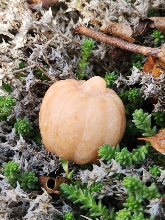 Sunstone Pumpkin Carving