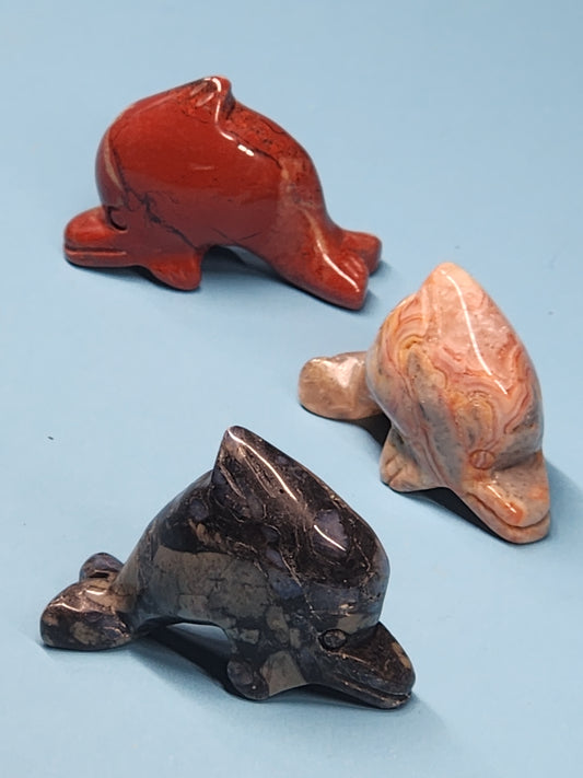 Dolphin Carving SEA-INT-16S5