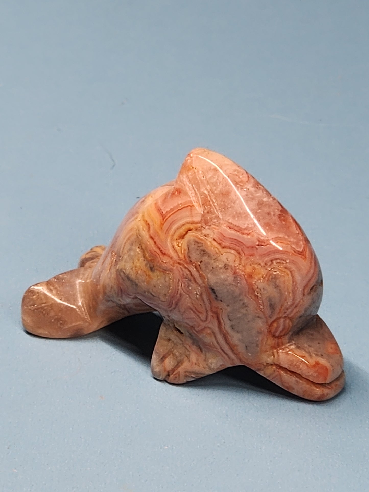 Dolphin Carving SEA-INT-16S5