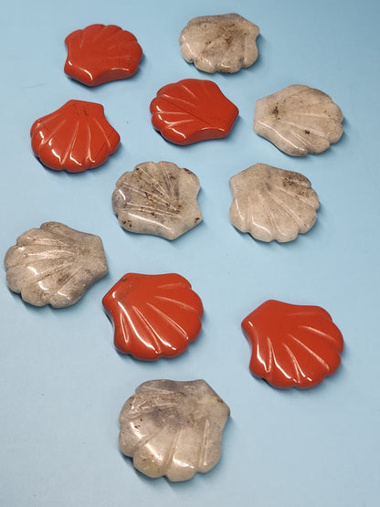 Scallop Shell Carving SEA-INT-SS5S5