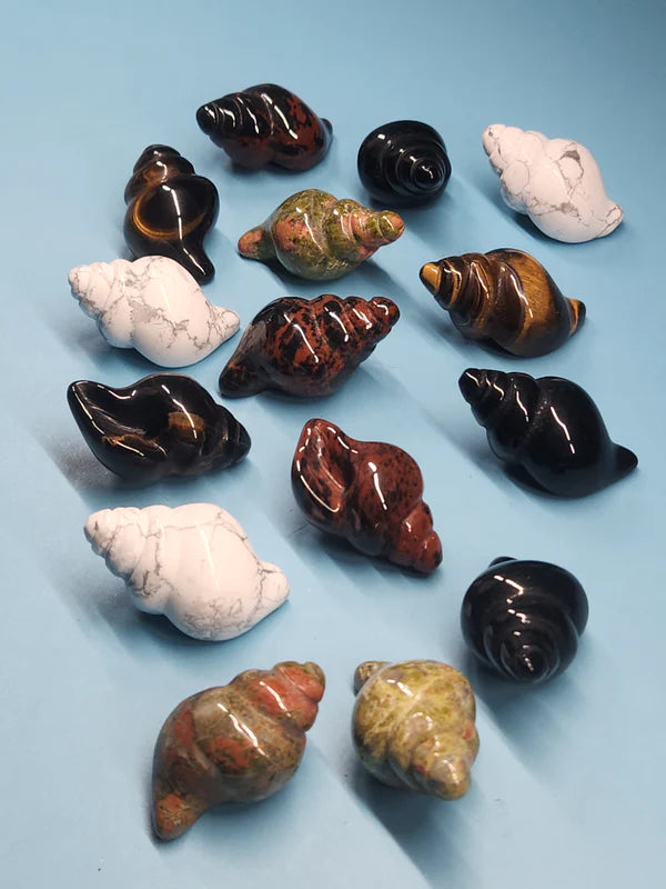 Seashell Carving